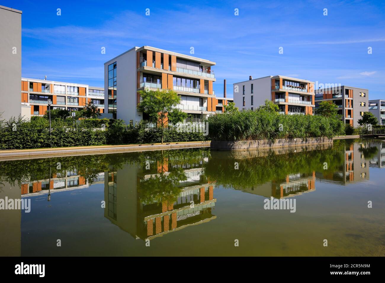 Essen, Renania Settentrionale-Vestfalia, Ruhr, Germania, Gruene Mitte Essen, progetto di sviluppo urbano nel quartiere universitario, nella città settentrionale Foto Stock