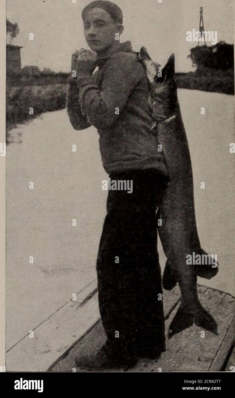 . I parchi giochi del Canada; Un breve trattato sulle località turistiche, di pesca e di caccia raggiunte dal Grand Trunk Railway System . t isherere il turista prende il vaporiere per Sturgeon Point, Bobbaygeon, Fenelon Falls, Rosedale, Coboconk e tutte le innumerevoli località e campi inter-mediati sulle spiagge ospitali di Sturgeon, Pigeon, Cameron e Balsam Lakes. Kinmount, il punto più settentrionale del distretto di Kawartha LakesDistrict, si trova a trenta miglia da Lindsay. La città è sempre più popolare ogni anno come centro turistico ed è il punto di ingresso di un certo numero di laghi affascinanti noti per i loro sceni Foto Stock