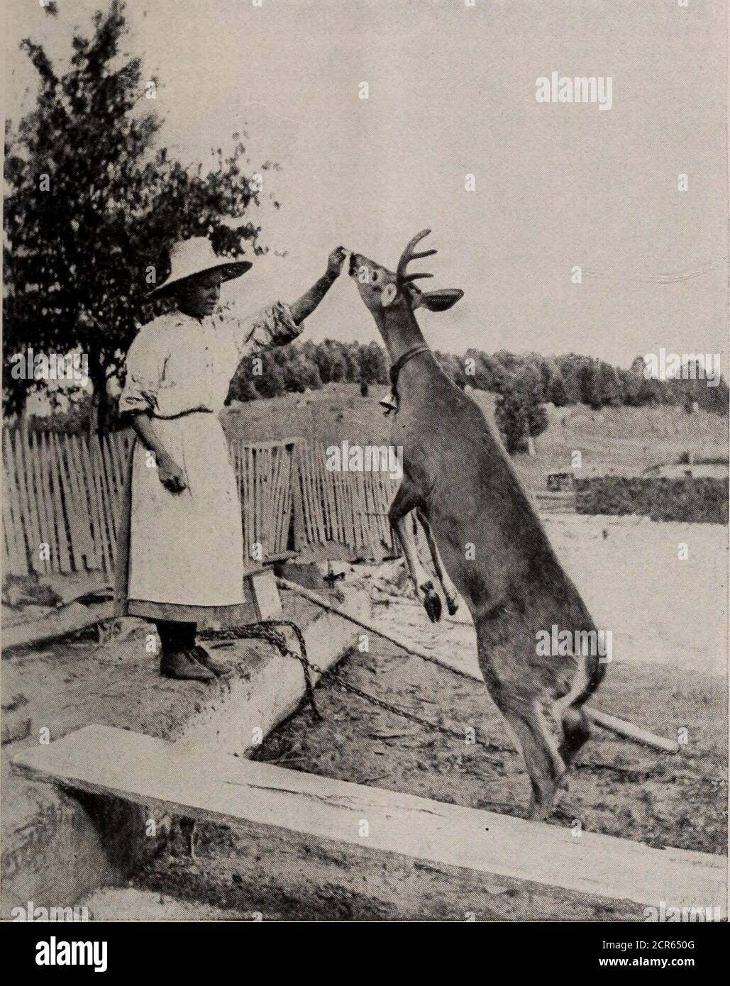 . I parchi giochi del Canada; un breve trattato sulle località turistiche, di pesca e di caccia raggiunto dal Grand Trunk Railway System . Dinto tale popolarità negli ultimi anni, è noto da acomparately pochi solo che esiste a portata di mano un conserveas che era - Messo da parte dal governo provinciale dell'Ontario, solo per la delezione dell'umanità, dove i veri sportivi sono accolti e dove la pesca non è solo in nome, ma dove la più giocosa di branzino, trote speckled e trote di salmone si accecano in numeri buoni. Dove i laghi e i fiumi possiedono una bellezza propria: Un salice Foto Stock