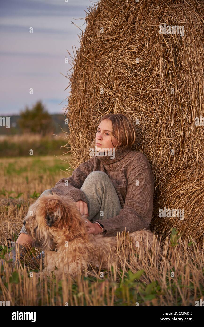Triste affascinante ragazza in un caldo maglione con un cane seduto da un pagliaio al tramonto. Foto Stock