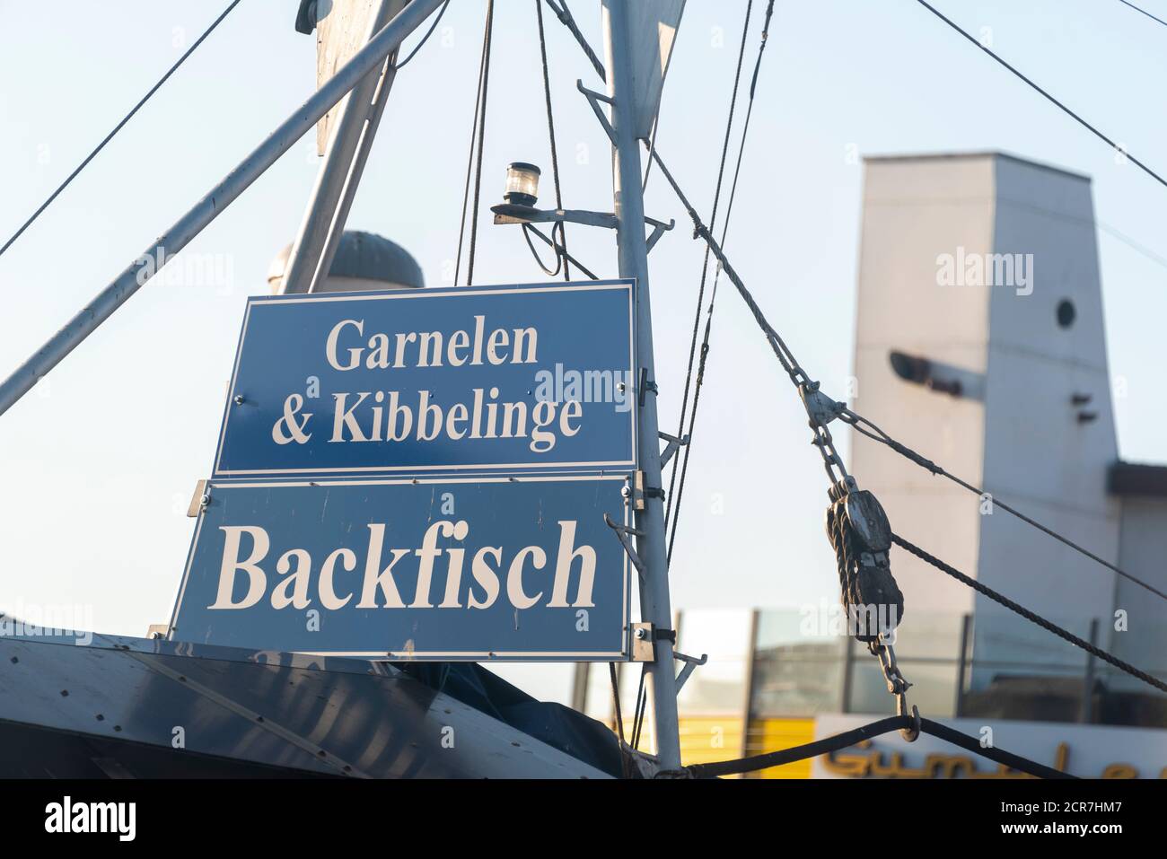 Germania, Meclemburgo-Pomerania occidentale, Sassnitz, casa tagliapesca, cartellone, backfisch, gamberetti, Kibbelinge, isola di Rügen, Mar Baltico Foto Stock
