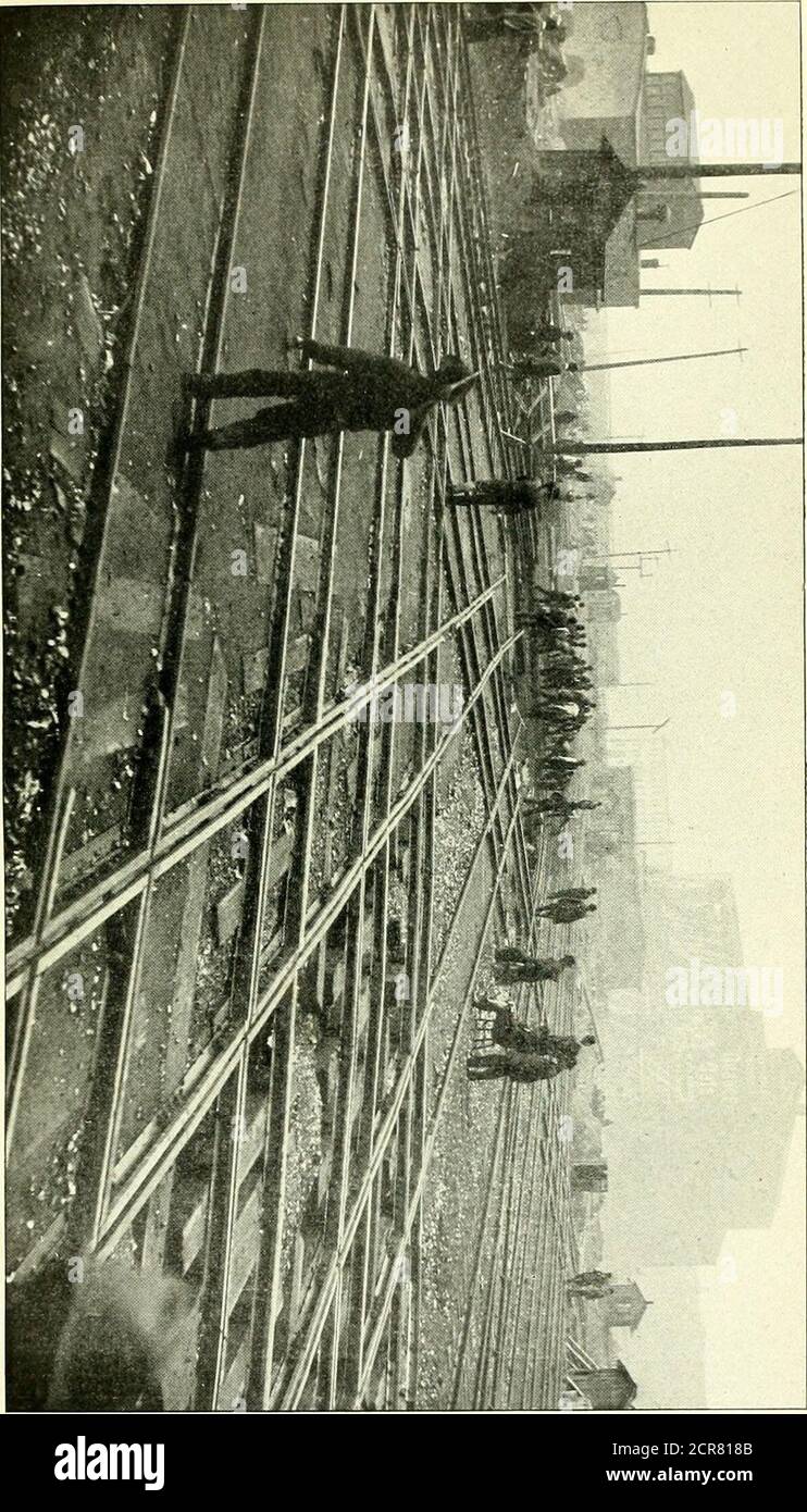 . Relazione annuale della Commissione ferroviaria e magazzino dello Stato dell'Illinois . Foto Stock
