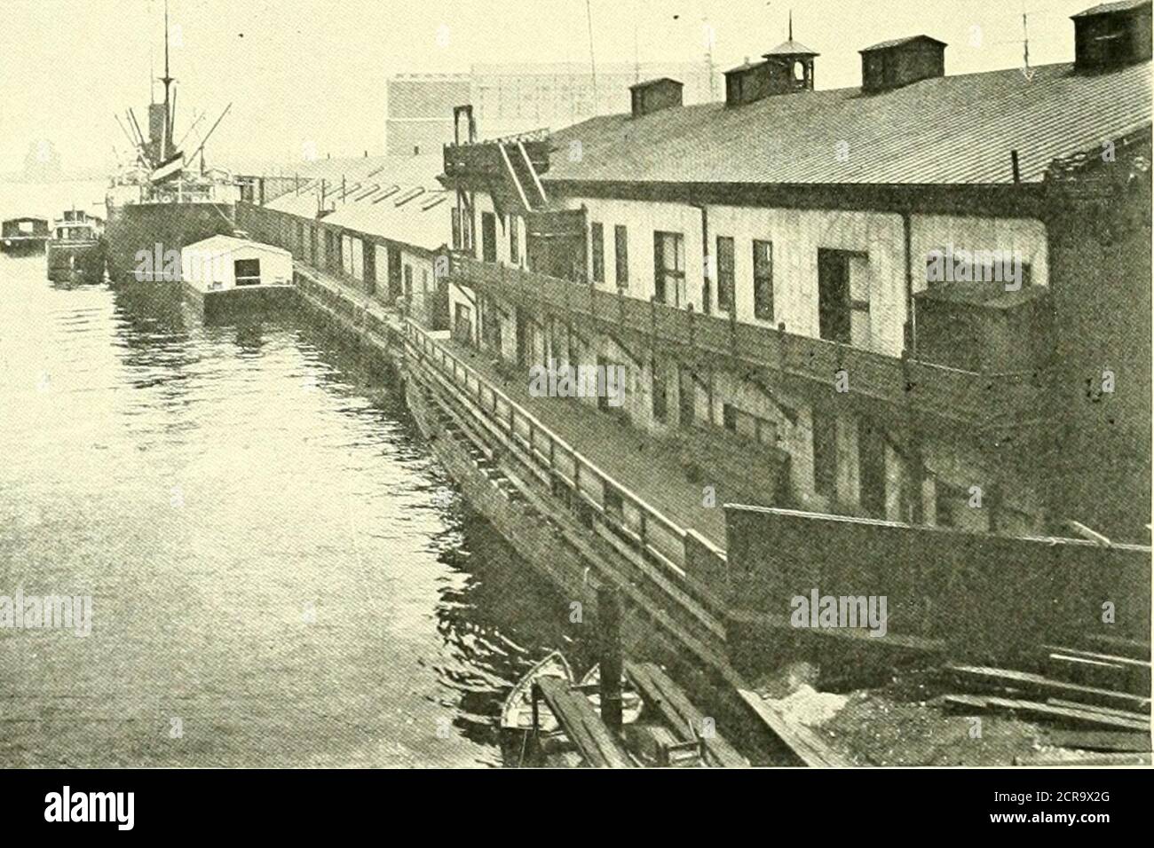 . Libro del blu reale . e immigrantswill avere le schede di queste missionarieswith loro, mostrando che sono stati senthack da coloro che già sono venuti e desiderano aiuto simile e consiglio estensibile ad altri. Può essere interessante da Knowthat in affari politici gli opuscoli di onemmissionary consigliano agli immigranti di occuparsi degli affari della loro casa, ma se mustvote, pesare attentamente nella loro propria membrile rivendicazioni di entrambi i partiti e votare il tally in ogni ))articolare con tlie cards. Itsembra al tiiat non iniziato ordine willneer venire da tale caos, ma fa, e uno dopo un Foto Stock