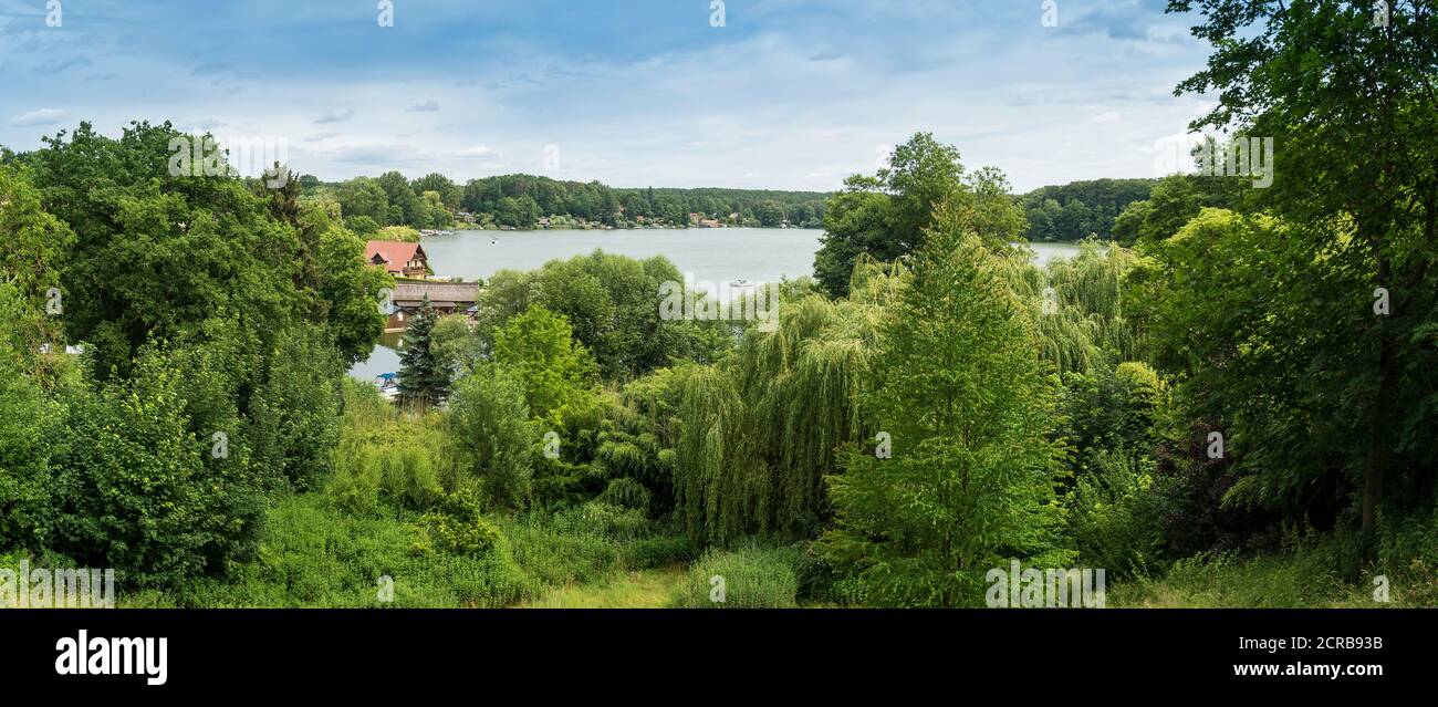 Meclenburg Lake District, Fleecken Zechlin, vista sul grande Zechliner See Foto Stock