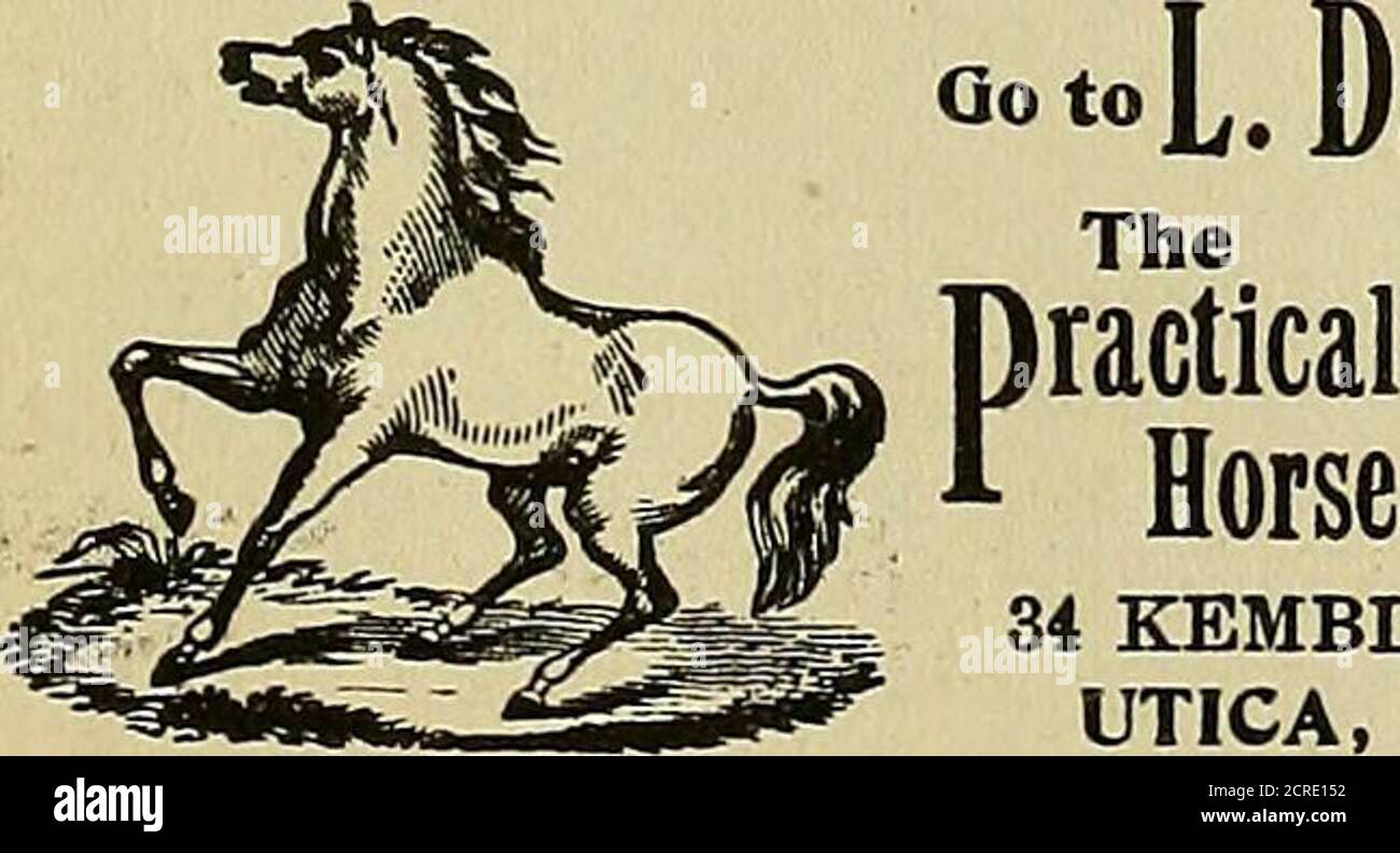 . P. J. La nuova ferrovia commerciale di Hannifan & Co. E mappa della contea di New Yort Stato e gazetter .. . GEO. D. LiUCI^, pittura di casa, SGRANATURA, VETRI, KALSOMINING. Agente per Wall paper Alfred Peates. Phillips-FergusonsReady MixedPains. PAPERHANGING, ECC. fatto nel migliore di modo.Mainstreet. WHITESBORO, N. Y. G. SGHA6B, FALEGNAME E. . COSTRUTTORE. Stime fornite. Negozio e residenza, 36 Chestnut Street, UTICA, /M. Y. Goto. L.D.Papa Cavallatrice. 34 KEMBLE ST.UTICA, N. Y. lavoro di prima classe. I piedi SkillfullyTreated. Cavalli inviati e portati a casa. F. M. MERRIAM, FONDERIA DI OTTONE. JOBING IN - m . B Foto Stock