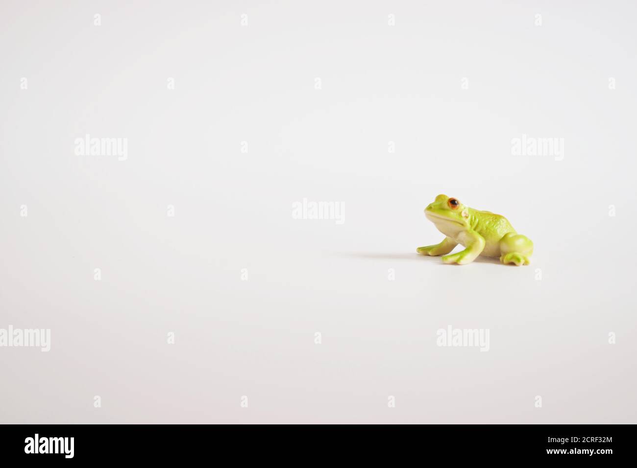 rana giocattolo verde in miniatura, rana giocattolo isolata in plastica su sfondo bianco spazio per il testo. Foto Stock