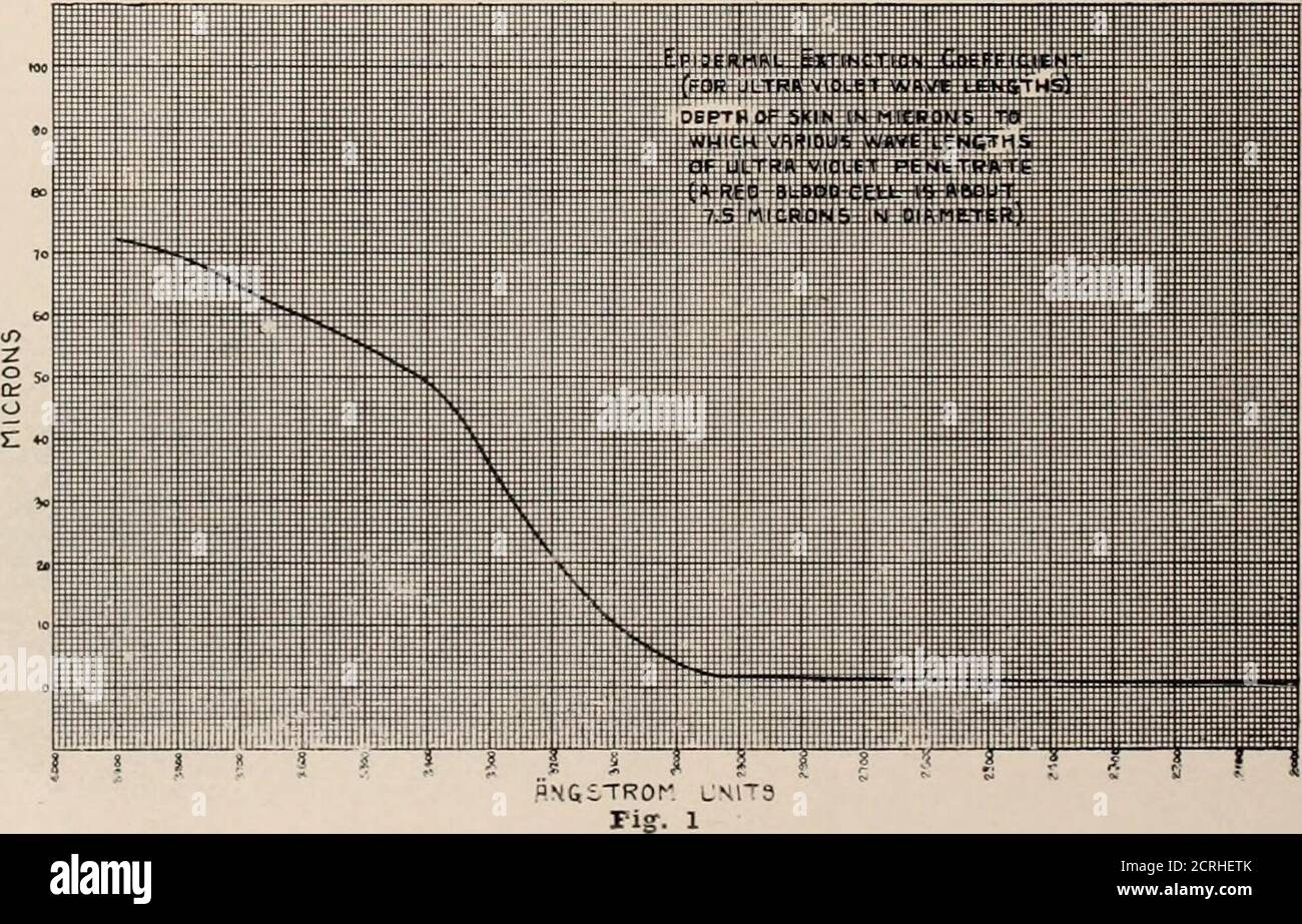 . Giornale di radiologia individuale. Nell'equazione FC = Vc x RcSponga che vi siano assegnati valori arbi-trari, come segue:FC = 8 Vc = 4 o FC = Vc x RcRc = 2 8 = 4x2 questo, si supponga, rappresentala divisione di energia, O lo stato meta-bolico di un caso ipotetico. Sotto le lunghezze d'onda lunghe di radiazione ultravioletta, la frazione chimicamente attiva (nuclei) di molte cellule è in-creased ; che è l'equivalente di dire-ing che la forza chimica è ago-mented. Se la forza chimica è raddoppiata, si devono verificare corrispondenti modificazioni nella velocità chimica o nel resist chimico Foto Stock