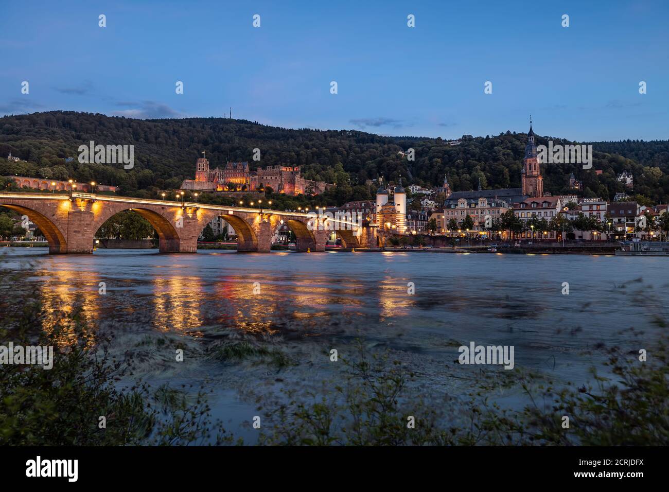 Heidelberg con il fiume Neckar e il Palazzo Heidelberg Foto Stock