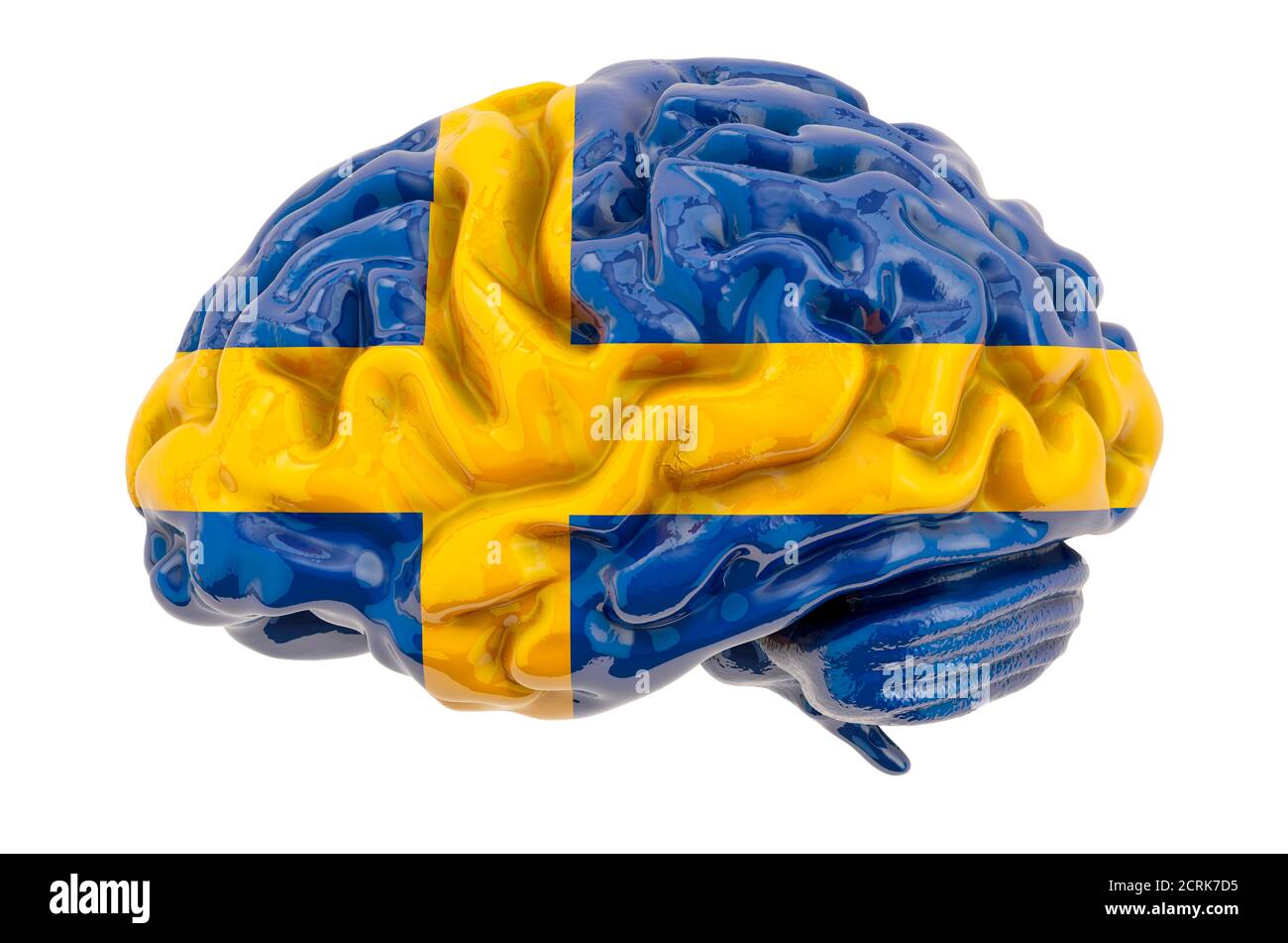 Cervello umano con bandiera svedese. Ricerca scientifica e istruzione in Svezia Concept, rendering 3D isolato su sfondo bianco Foto Stock