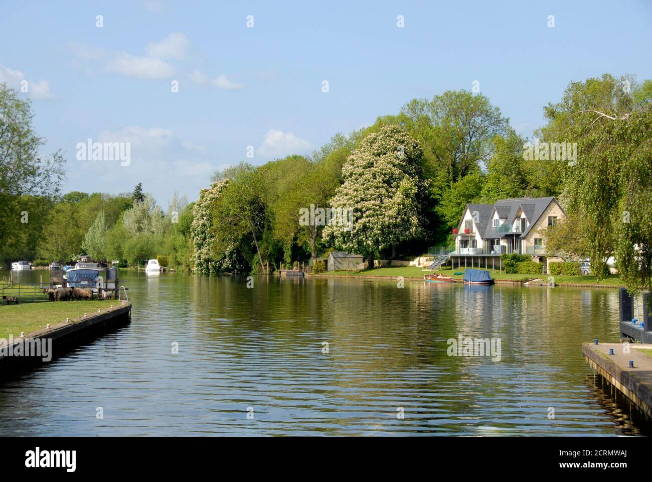 Attraente albergo sul fiume accanto al Tamigi, Oxfordshire, Inghilterra Foto Stock