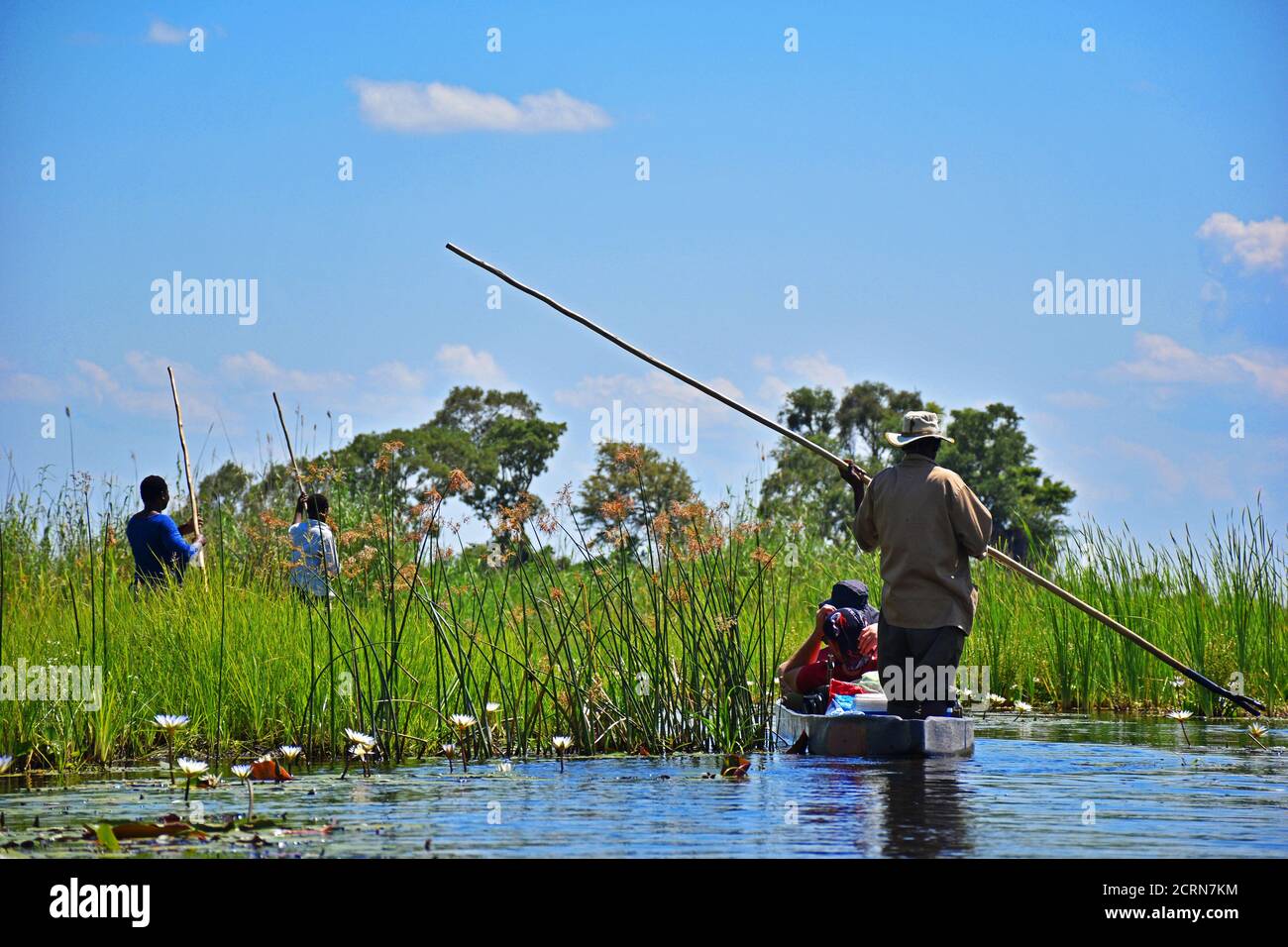 Il delta dell'Okavango in Botswana Foto Stock