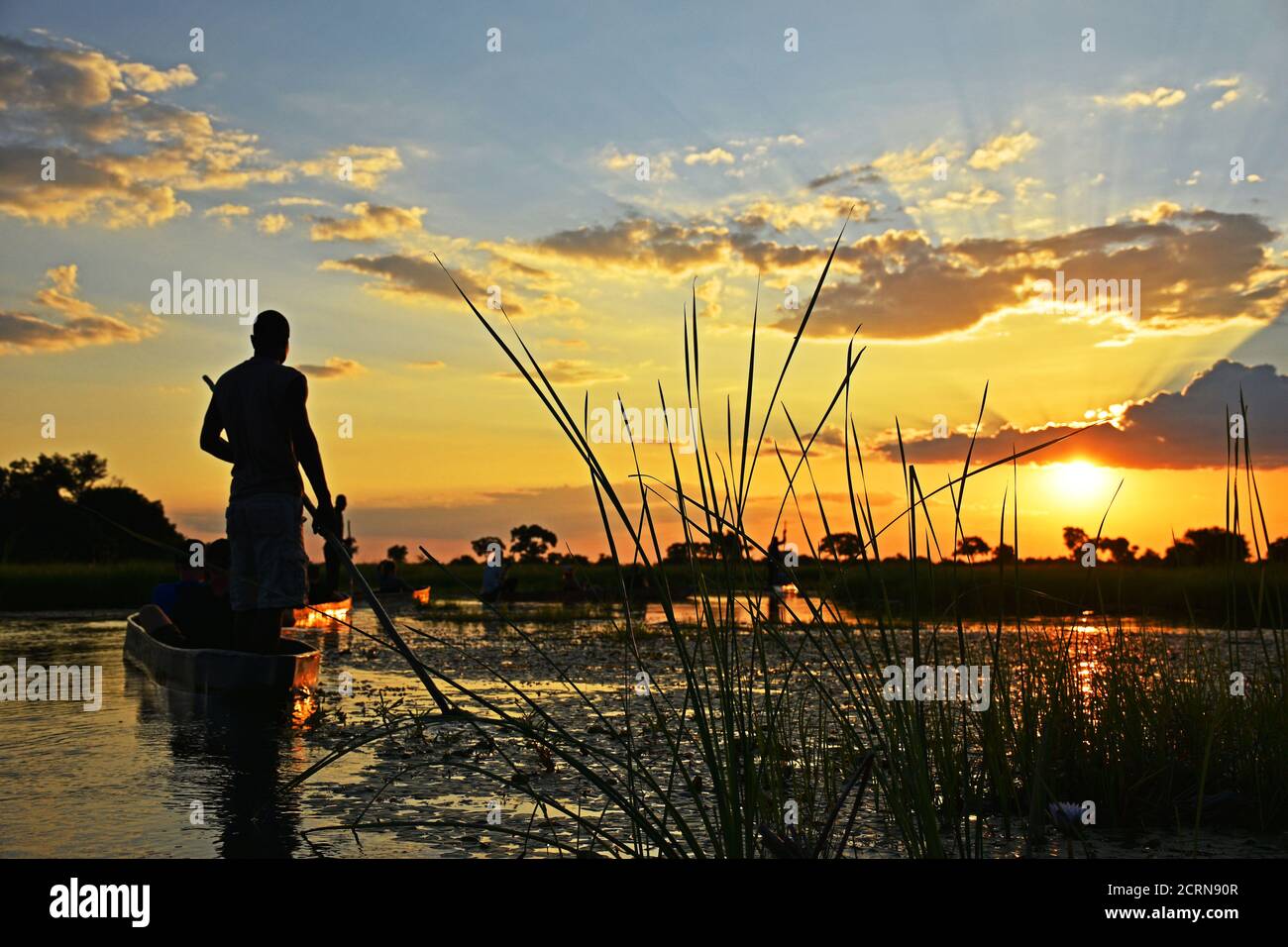 Splendido tramonto sul delta dell'Okavango Foto Stock