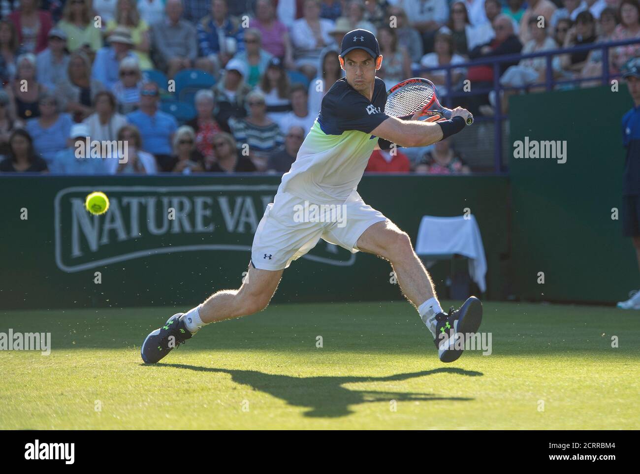 Andy Murray in azione. Andy Murray v Stan Wawrinka Mens First Round - Nature Valley International PHOTO CREDIT : © MARK PAIN / ALAMY Foto Stock