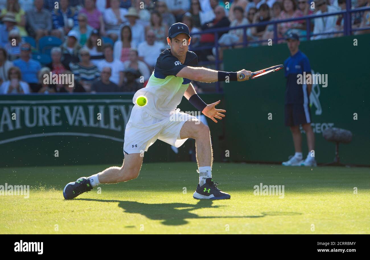 Andy Murray in azione. Andy Murray v Stan Wawrinka Mens First Round - Nature Valley International PHOTO CREDIT : © MARK PAIN / ALAMY Foto Stock