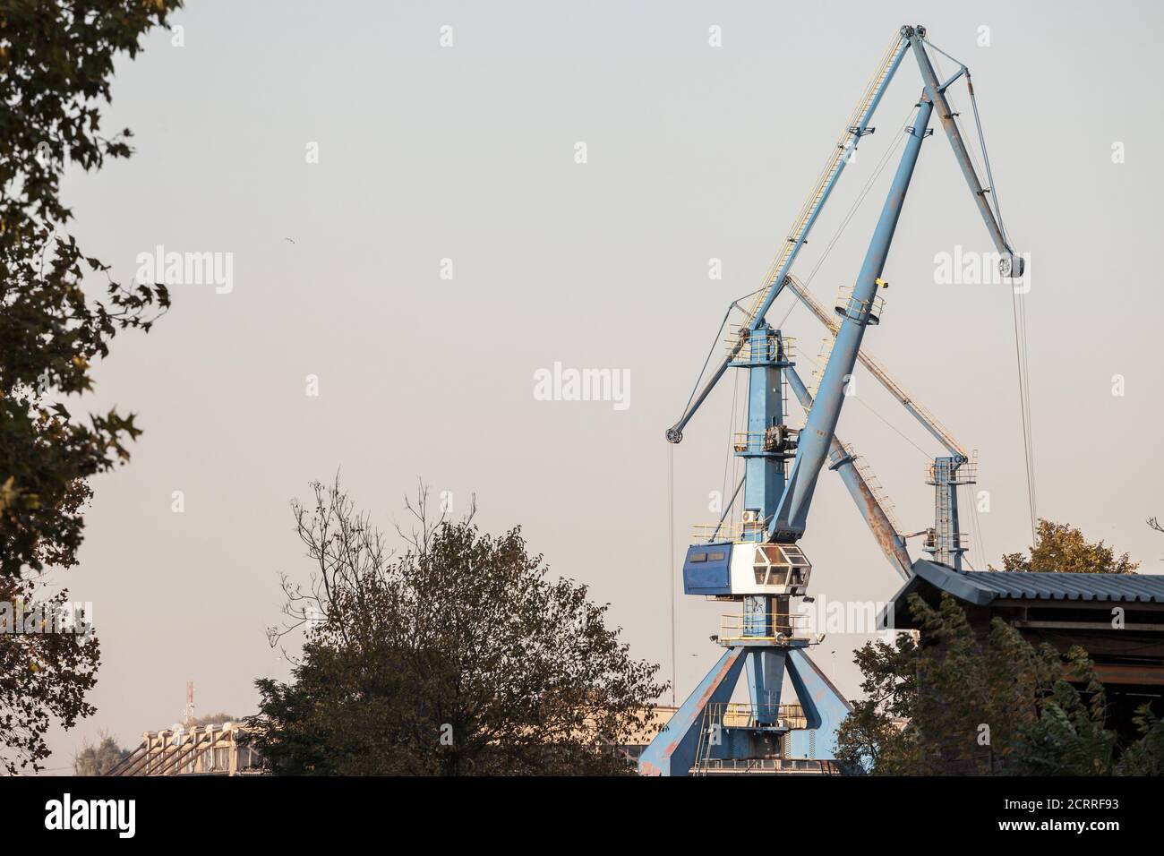 Gru portuali su un terminale portuale fluviale e marittimo dei Balcani, utilizzate per caricare e scaricare container e altri carichi nelle operazioni di importazione ed esportazione sulle navi A. Foto Stock