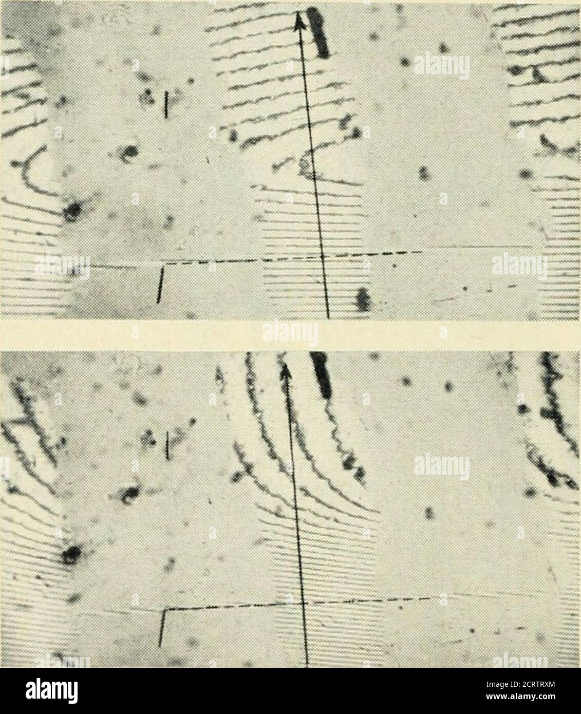 . La rivista tecnica Bell System . -GIUNZIONE SUPERFICIE ORIGINALE SUPERFICIE SMUSSATA 0.10 ^W M. 0.05 00.10 V i -(«- - 16-^^- crm 1- LU i- z LUU ZX 0.05 00.10 1 / i i 1 i V 1 - 17- ^- 0.05 V -e-- -16.5- ^ 10 20 30 40 n Fig. 8 – Valutazione del pattern di frangia di interferenza su una giunzione p-n inscritta. MISURA DI INTERFERENZA DI STRATI SUPERFICIALI SOTTILI 1219 Foto Stock