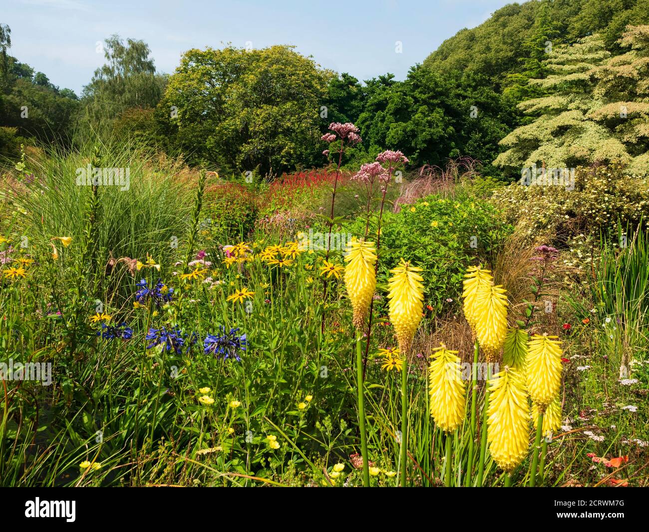 Vista in tarda estate sul Giardino d'Estate presso la Garden House, Buckland Monachorum, Devon. Kniphofia "Tawny King" in primo piano. Foto Stock