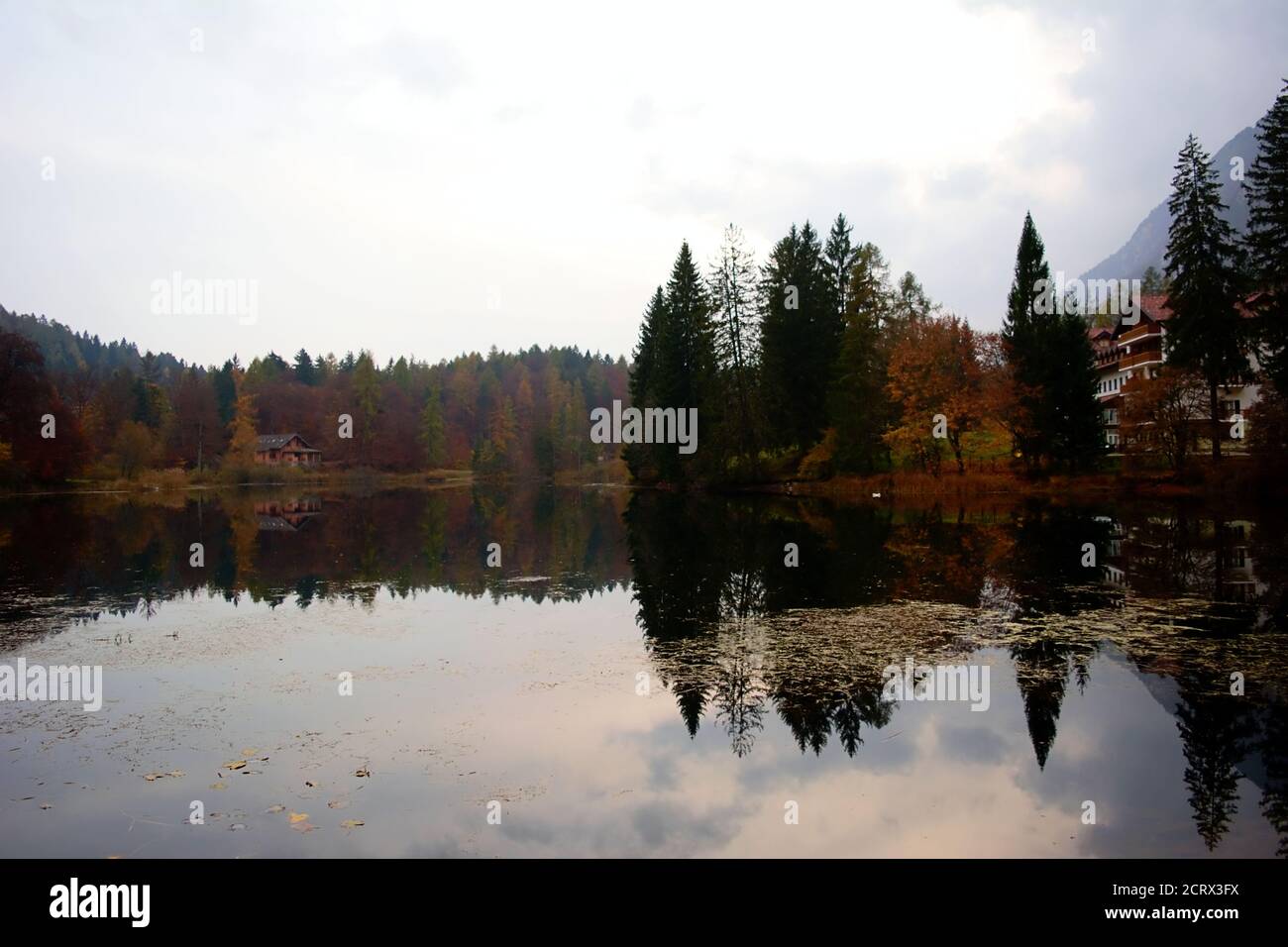 scena autunnale in trentino al lago cei con riflessi d'acqua e fogliame Foto Stock