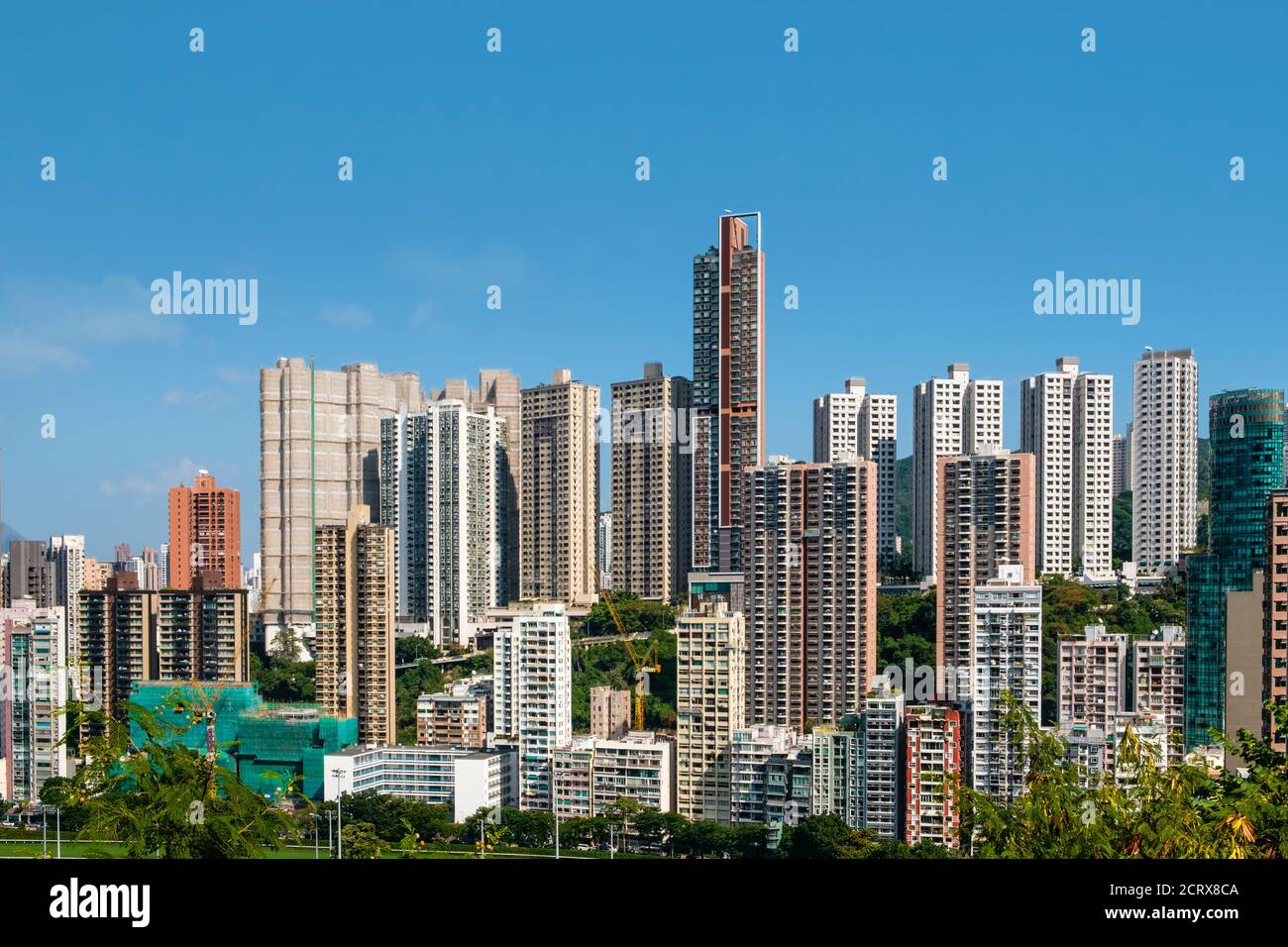 Alti edifici residenziali, skyline di Hong Kong - Foto Stock