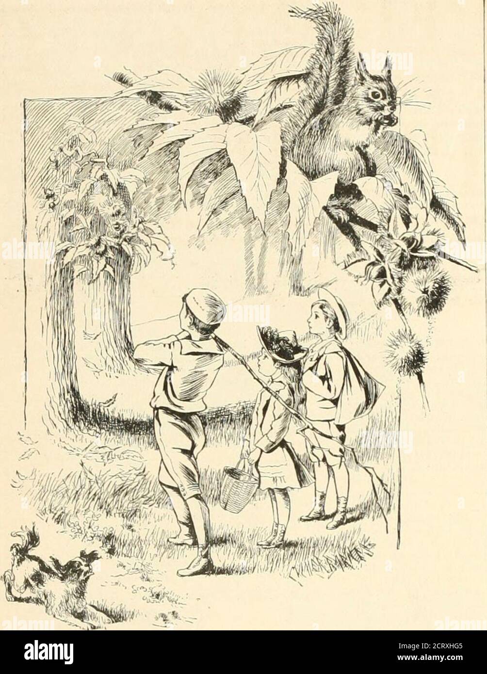 . I giovani di Harper . DAVID KER. Il nome del sig. KKRS è stato a lungo familiare ai ourreaders, che hanno goduto i suoi racconti emozionanti ofAdventure in tutte le parti del mondo. Accolgono volentieri una lunga storia dalla sua penna. È un grealtraveller, le terre lontane dell'Asia, le foreste dell'Africa, e le isole solitarie delle api del Pacifico gli conoscono come sono le strade del loro i&lt; ncity o villaggio ai ragazzi e alle ragazze che leggono gli histories. Nella città perduta porta i suoi leggitori nelle strane città e nelle districtsof montane dell'Afghanistan. I suoi eroi del ragazzo sono là duringi giorni terribili che pre Foto Stock