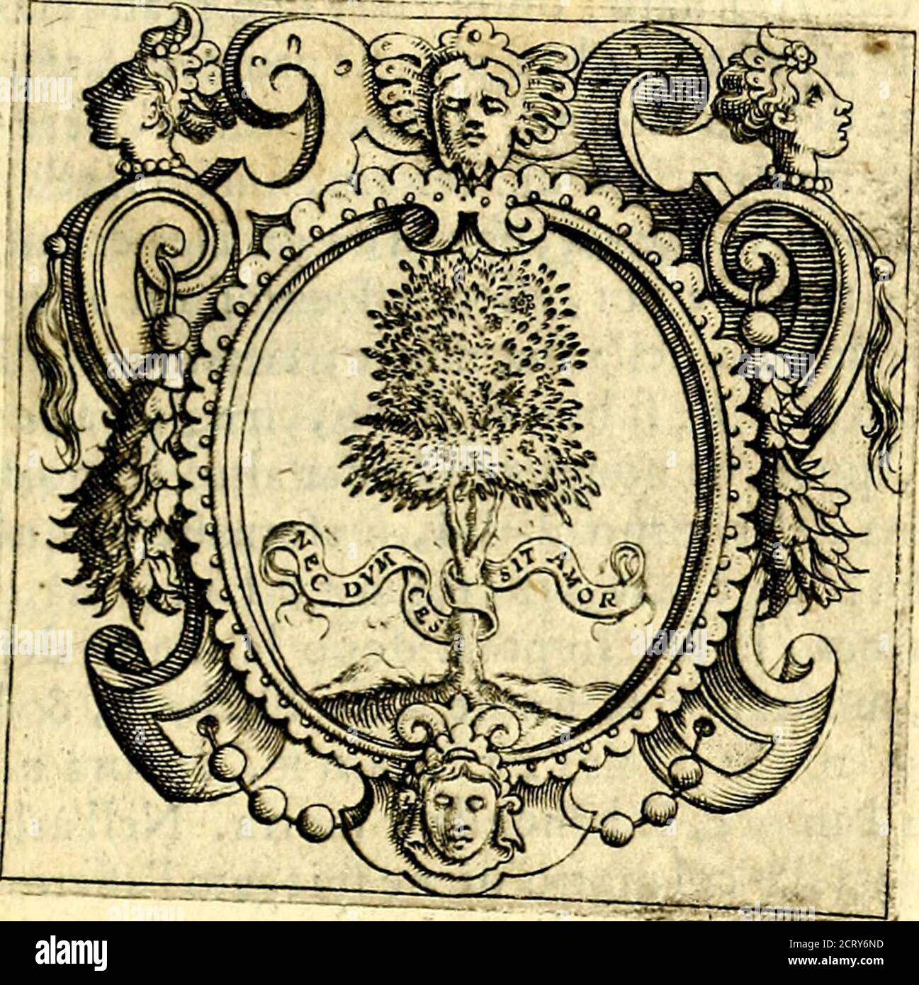 . Imprese illustri di diuersi, coi percorsi di Camillo Camilli, et con le figure intagliate in rame di Girolamo Porro Padouano .. . DO- 45 DOMENICO AMMIANI. Foto Stock