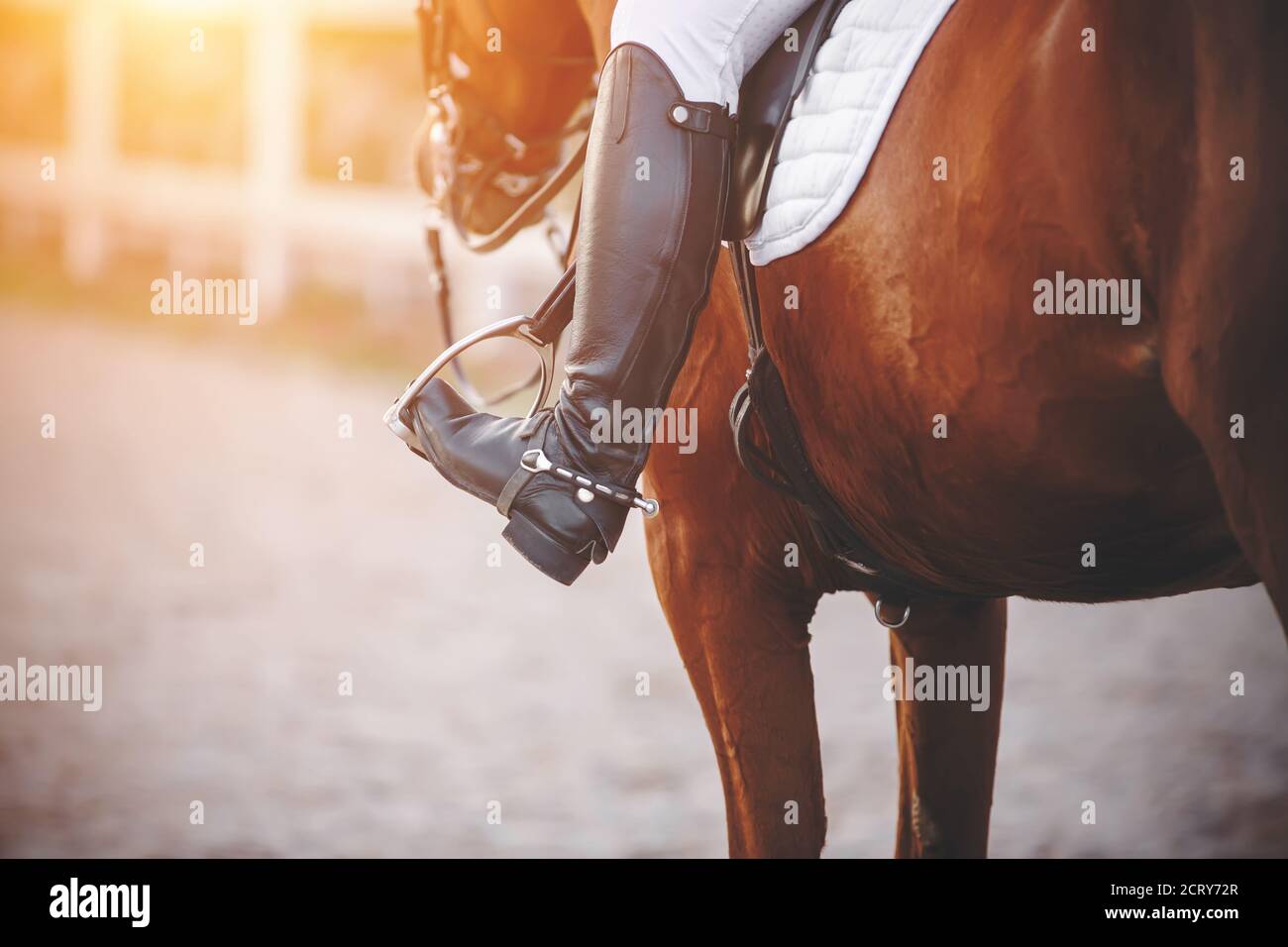 Il piede del cavaliere seduto sul cavallo è vestito con uno scarpone nero con uno sperone e poggia su una staffa metallica, illuminata dalla luce solare. A cavallo Foto Stock