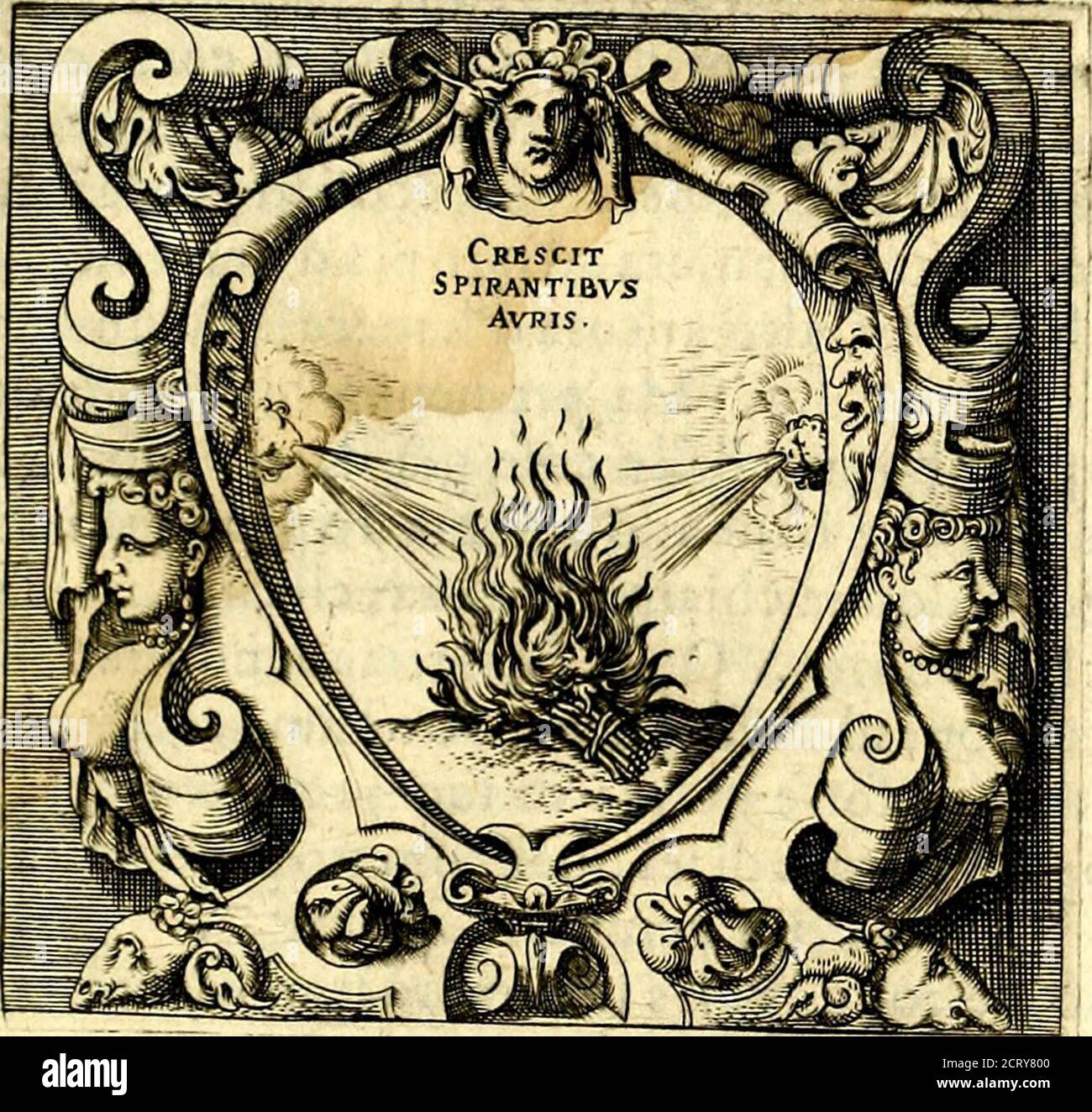 . Imprese illustri di diuersi, coi percorsi di Camillo Camilli, et con le figure intagliate in rame di Girolamo Porro Padouano .. . ÀN- 7 ANNIBALE POCATERRA. Foto Stock