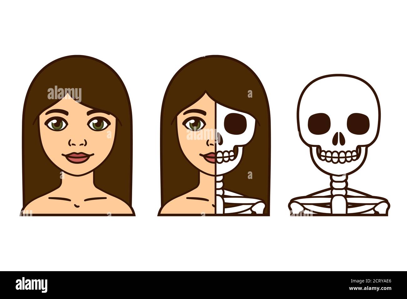 Bel ritratto di donna con mezza faccia cranio. Ragazza viva e scheletro morto. Illustrazione vettoriale cartoon. Illustrazione Vettoriale