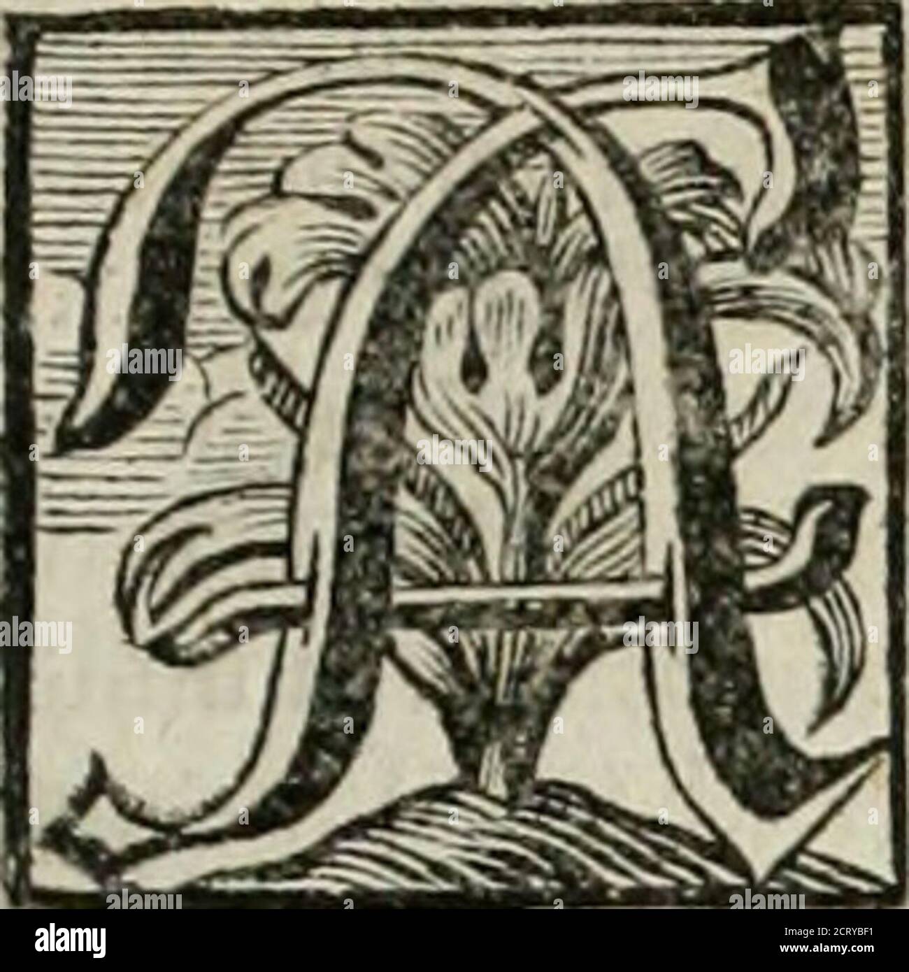 . Huy! E Pfuy! Saldatura del der. Huy, óder Anfrischung zu allen schönen Tugenden: Pfuy oder Abschreckung von allen schändlichen Lastern: Durch underschiedliche sittliche Concept, Historien, und Fabeln vorgestellt .. . U aHcnt!)tcrcn ßu|TCR{id)cr®cfla{t falber iHkimihrnWltm^^m alfo fl^nlld)unt» gleich ala§ tciW/wegen 3«9tt?att)^/ (f.iber / ^ul^ imb@pannabern / niä cn ©^cn^cn 93^cn^cin meinftcnö ör^ifraucl) bicfe^^l)ier in fernen ®e>:)tvp)en fef)r (ddjcriid) / unbtDtU eö in allem nadjt^un/ maö eö>su jJicniOjcn ijet: Ttjem)cö MD) me^rent^eilö bie lrf^ Foto Stock