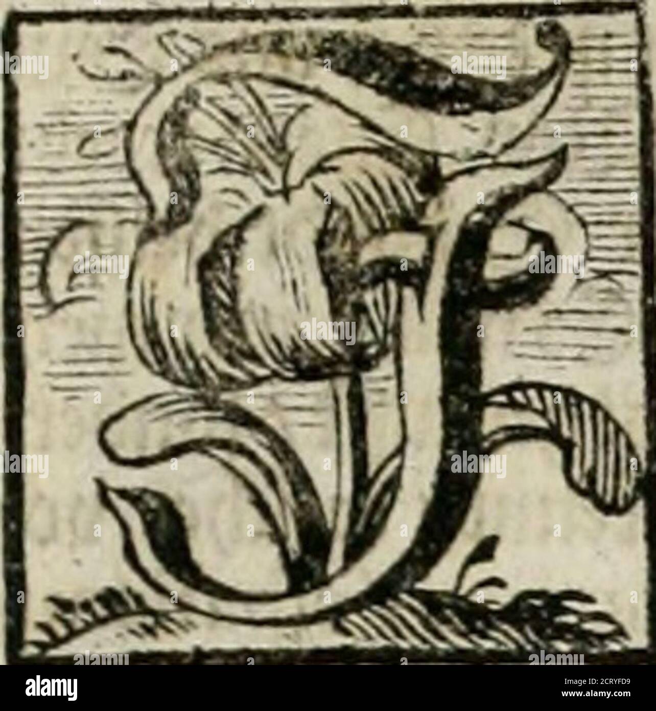 . Huy! E Pfuy! Saldatura del der. Huy, óder Anfrischung zu allen schönen Tugenden: Pfuy oder Abschreckung von allen schändlichen Lastern: Durch underschiedliche sittliche Concept, Historien, und Fabeln vorgestellt .. . 9T unfcrcm wcrtf)tflcn ^cutfd^lanb pj^e^ennjir mc^tcr tWiian t^t)eö ^ortö Ufer / ©cflettcn nennen / bann m ^oitUfer geziemet forbbrijUem gjicerunb grofen ©ee- t(t)m(m^m^m^tm(m) alö öetin t) ©t(m^tm^tm) übrigen aberiftöasUferni t(m^tm) @tm(m) cö 93Ieerö tm) eö tm(m)   tm)   tm(m)   tm) tm(m) tm tm tm tm tm tm tm tm tm tm tm tm tm tm tm tm tm tm tm tm tm tm Foto Stock