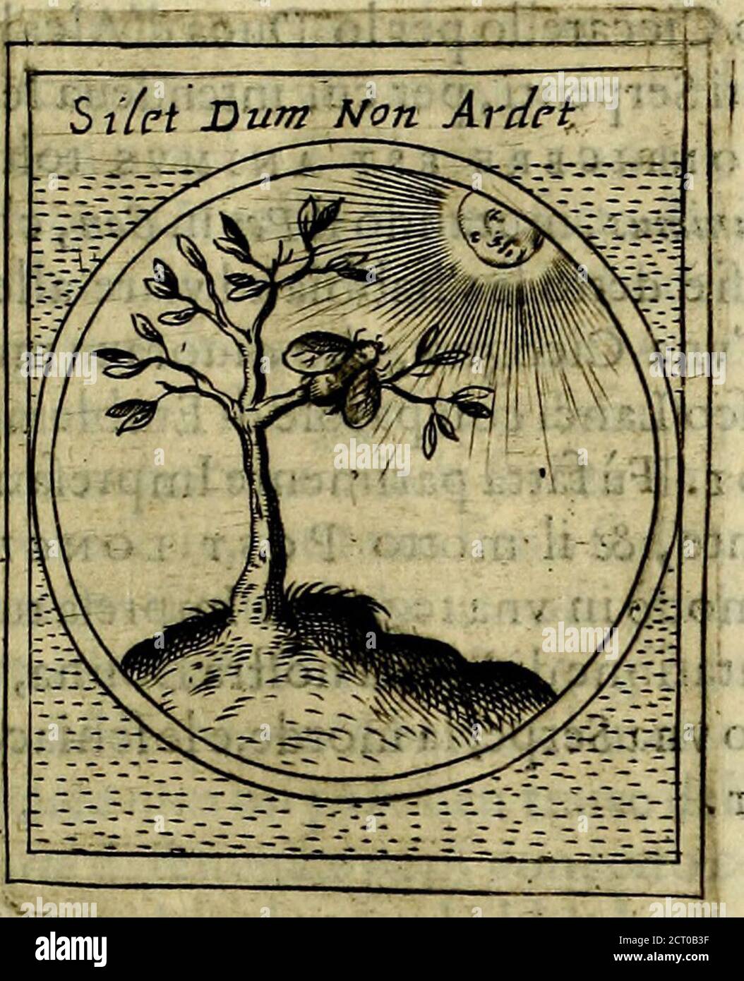 Lui E Lei Immagini E Fotos Stock Alamy