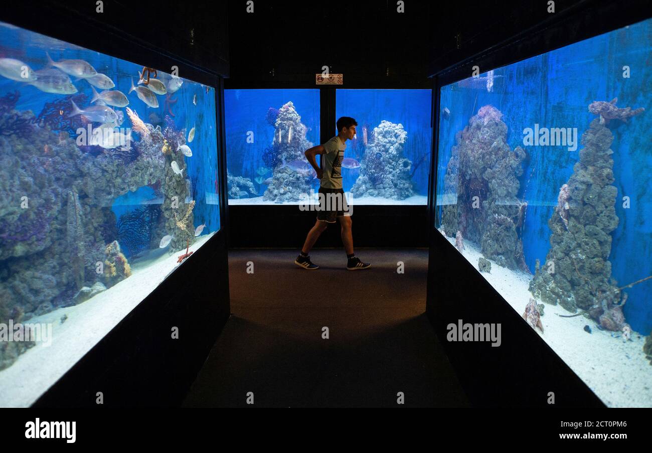 Un visitatore è visto all'Aquarium Pula, Croazia, 26 luglio 2018. Ospitato  in un forte di oltre 130 anni in Croazia, l'Aquarium Pula vanta specie  dell'Adriatico, nonché zone marine tropicali e habitat di