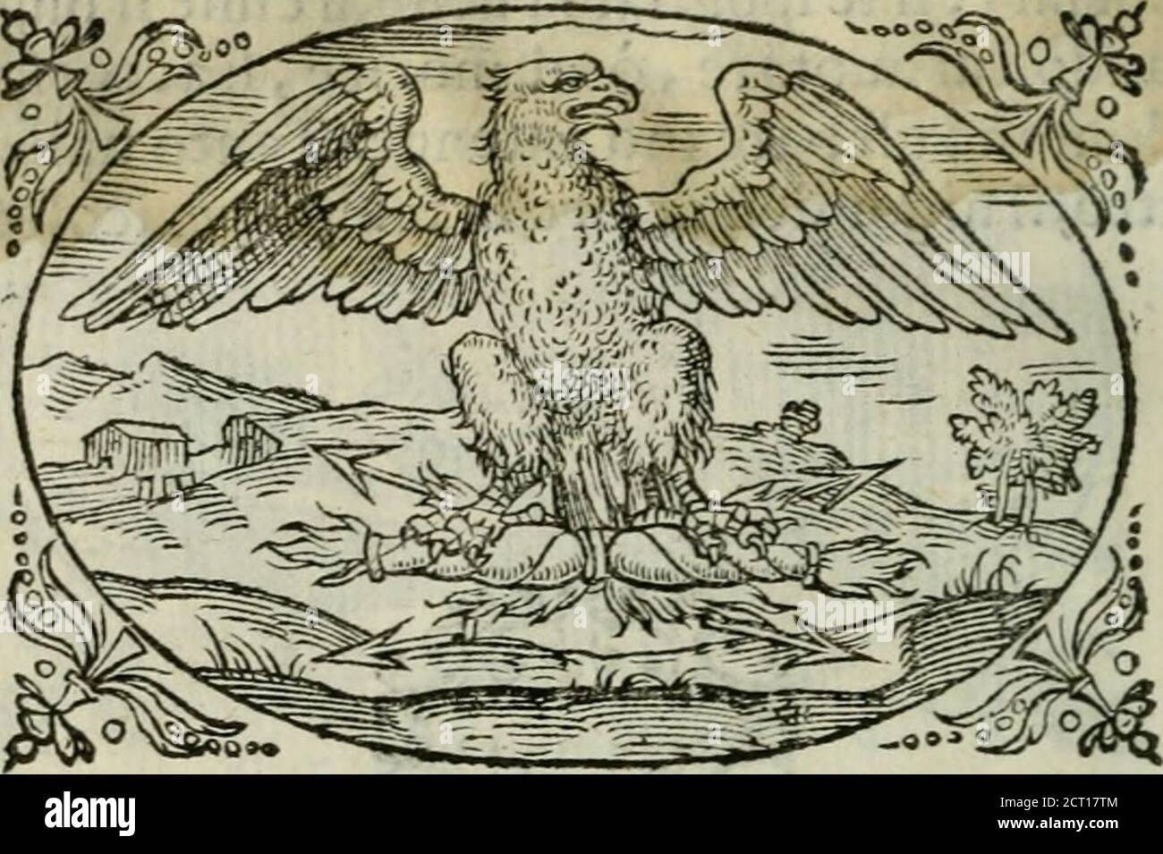 . Delle imprese trattate . Mal DELLE IMPRESE mai nobiltà regale non fevcofa vile.. Imphrefadi chi nò fi luiliice . Fugaci Lepri, e timidi Conìgli et altre fiere, & &lt;Augei laquila ingoia,Generofo animai rapaci artigli lAdopra le rapie, a laltrui noia.ma non quella che al Sol cono/ce i figli Chaltro animai mai non rapace annoia.e detta, Augel di Gioue ; Efempre ha [ecco Dipreda il ventre, e ben purgato il becco, Foto Stock
