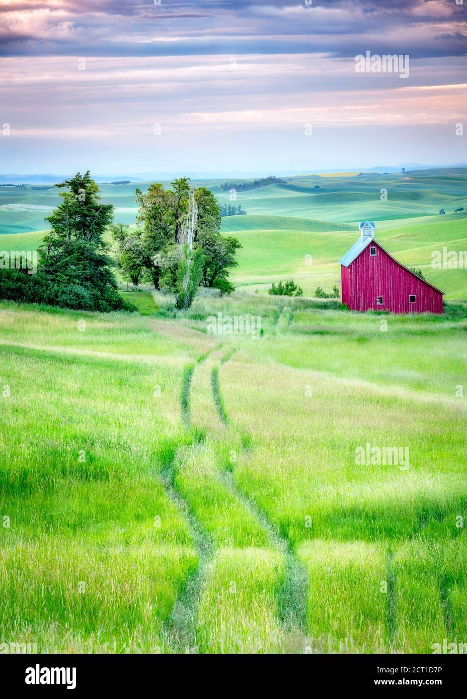 Fienile rosso e grumo di alberi vicino a Mosca Idaho in Il Palouse Foto Stock