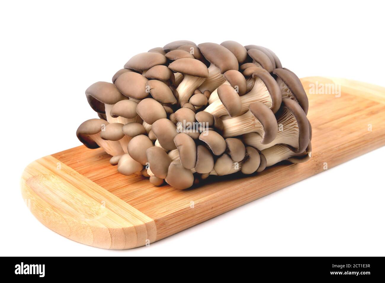 Funghi di ostriche naturali commestibili, tavola di bambù, isolati su sfondo bianco, funghi per cucinare e sottaceti, primo piano e spazio di copia Foto Stock