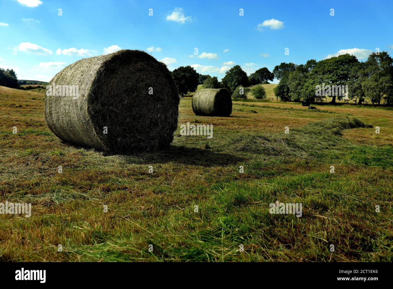 Vendemmia in Lancashire, Inghilterra Foto Stock