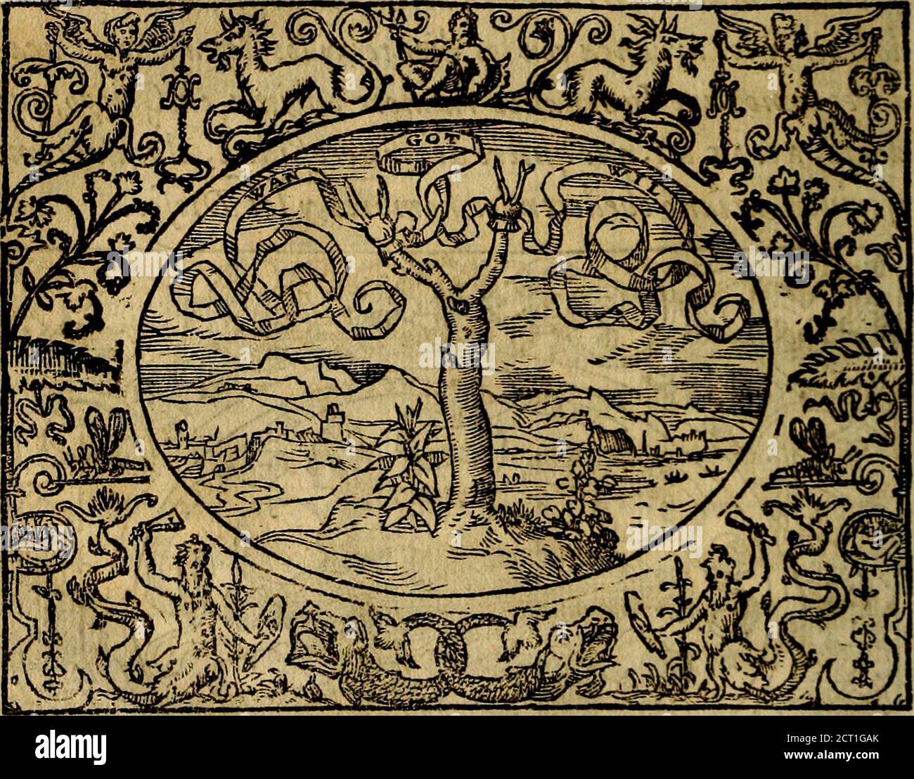 . Dialogo de las empresas militares, y amorosas, compuesto en lengua italiana, por el illvstre, y revendissimo señor Paulo Iouio obispo de Nucera . En el qval se tratta de las dejaves, armas, motes, o blasones de linages. Con vn rasoio a esse propositivo, del magnifico señot Ludonico Domeniqui. Todo nueuamante traduzido en romance castellano, por Alonso de Vlloa. Anadimos a esto las empresas eroicas, y morales, del señor Gabriel Symeon . XJltimdmente he hecho nd empreft d pediiente de i4* DIALOGO D e L A S Camtlo lordai i urifconfultqfobre quedezia que ejlaua amliguoy fiuff enfio enfu Foto Stock