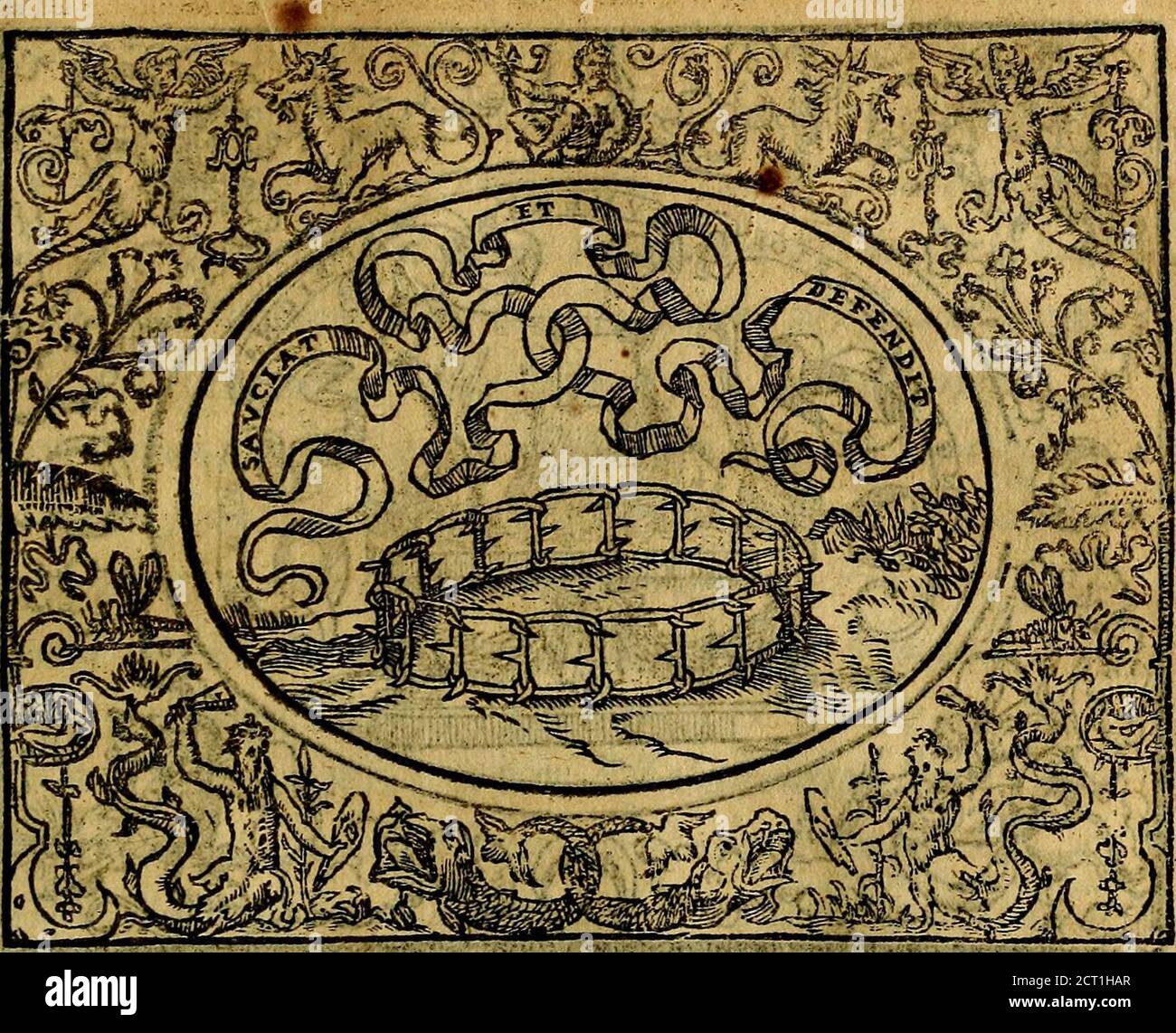 . Dialogo de las empresas militares, y amorosas, compuesto en lengua italiana, por el illvstre, y revendissimo señor Paulo Iouio obispo de Nucera . En el qval se tratta de las dejaves, armas, motes, o blasones de linages. Con vn rasoio a esse propositivo, del magnifico señot Ludonico Domeniqui. Todo nueuamante traduzido en romance castellano, por Alonso de Vlloa. Anadimos a esto las empresas eroicas, y morales, del señor Gabriel Symeon . y fdudde ItdUdyqueendquAtiempo corijj&gt;iraud còntrdFra* €efes&gt;y recelandofede no eden enferùìtud de aquella Iraua n&ùonfPero endurecido ènfu haddd Foto Stock