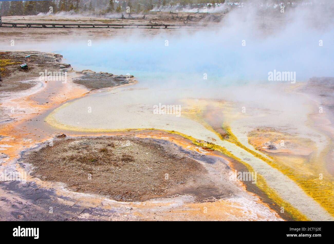 Piscina Sapphair a Biscuit Basin, Yellowstone National Park, USA Foto Stock