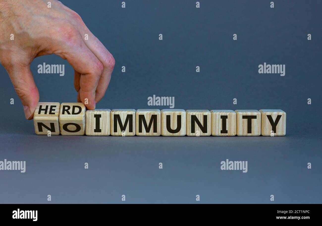 La mano maschio trasforma un cubo e cambia l'espressione 'nessuna immunità' in 'immunità gregge'. Splendido sfondo grigio, spazio per la copia. Medico e covid-19 pandem Foto Stock