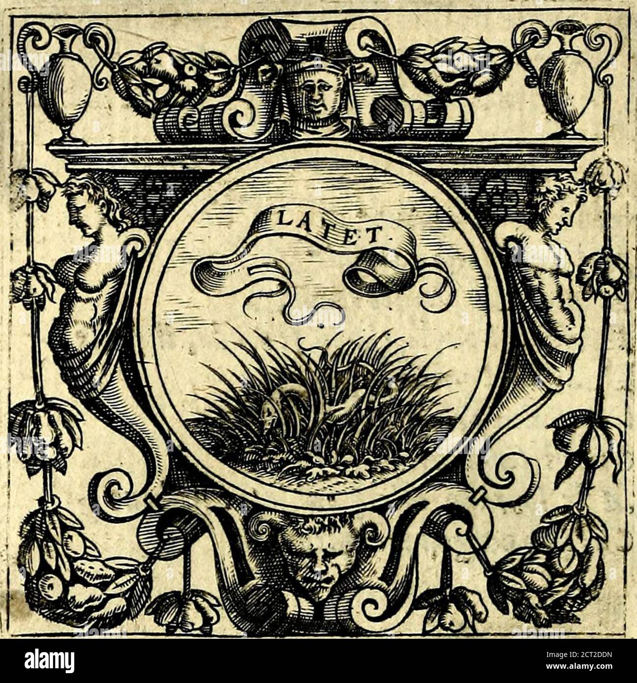 . Imprese illustri di diuersi, coi percorsi di Camillo Camilli, et con le figure intagliate in rame di Girolamo Porro Padouano .. . GIV- GIVLIO CONTARIN*. Foto Stock