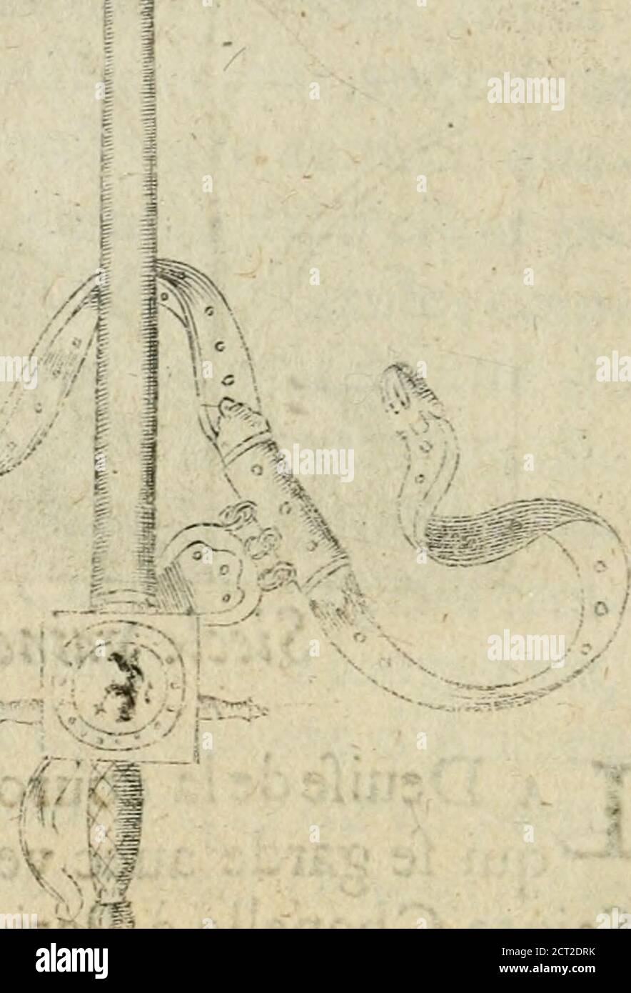 . Devises eroiques et emblemes . Siècle VaincH. T A Deuife de la couronne dEfpines,•-qui fe garde auec vénération en USainte Chapelle à Paris, enfemble duRofeaudelapafissiondenoftre SauucurIefus-Chrift,eftenfignedcsôregnecc-lefte & eterneljde fa vidoire furlimon-de, & fur le diabfe, i dicelnoses^. EfpoHUdntail à faute. p o M p e e le Grand eftant créé cKef^ d*arméejôc Sylla Tenucyant en si- he R o i Q_V e S. 30J cile,non feulement fc poitaen Magi-ftracde guux^ preux, hardy &c vigilant,niais auflî fc tute vierine Foto Stock