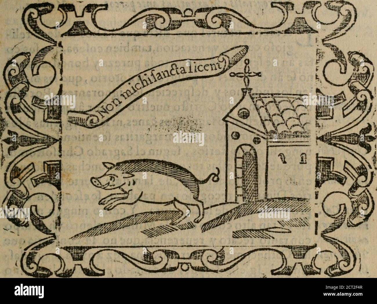 . Empresas espirituales y morales ... . en el frírmon quarenta , fino fe farisfazeconloquelefucedio áCan, conNoe , y al mifero Abfalon con Dauid , porque como lo Faleritts,dize Valerio, con igual venganza fe caftigala impiedad VIPA^ra, X 4 contra lih.i. E^ íüflh.libr.4 Q.captt. 1.jHinAi.io.íaj^ít, 7. XÍMPR^SA VEYNTE YCITICOcontralos diofes,y contra los pjcires. Para que íe véalaq mereció Tullía, palPando con el carro fobre el cuerpocicfa padr&lt;j,y CucratitesRcyJelos Bractos pallando enfu coche fobre el fuyo ,derpues deauerlo muerto á pu-ñaladas. Son los tales peores que las Tygres de Hyrca-n Foto Stock