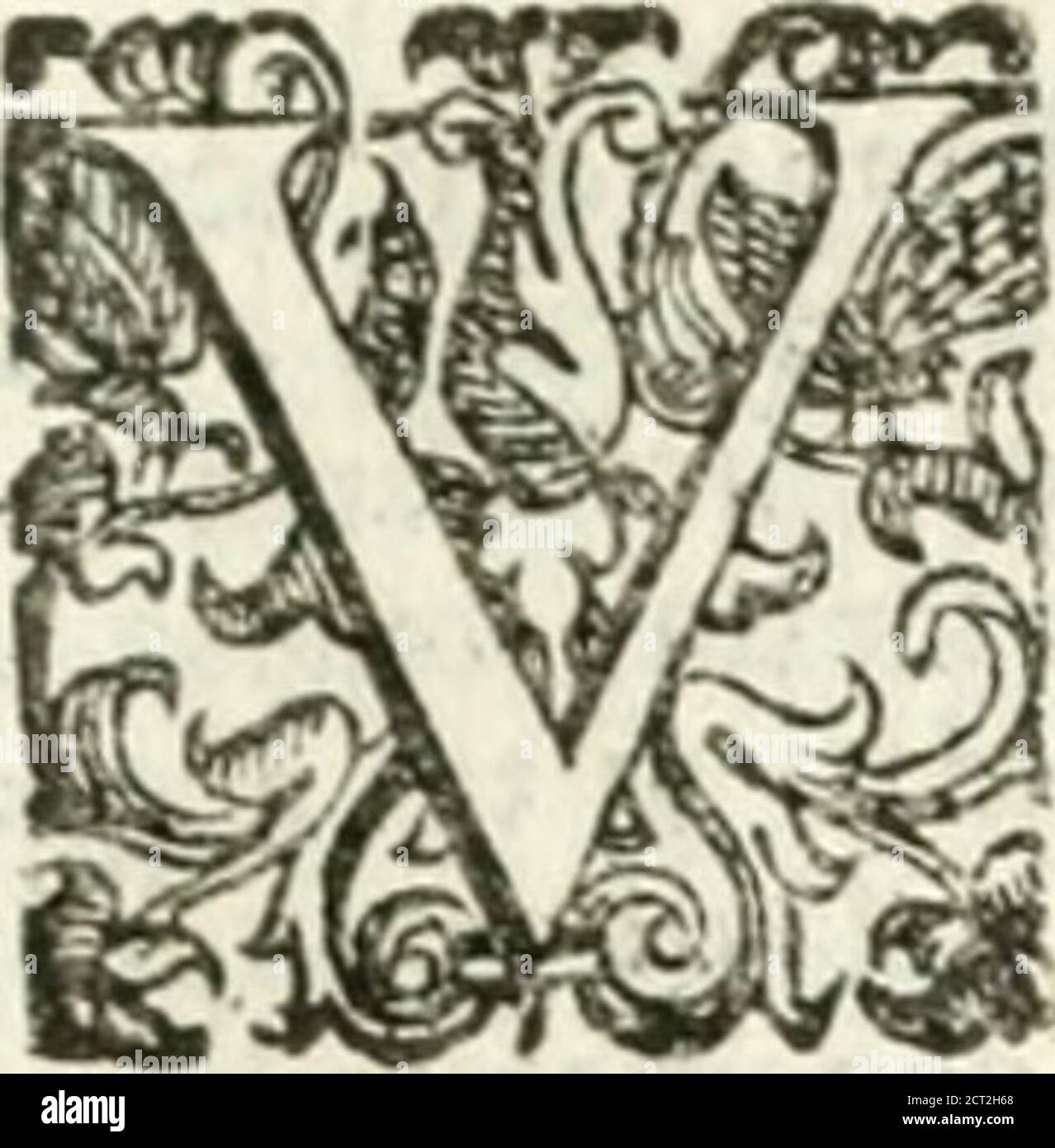 . Imprese sacre con triplicati discorsi illustrare & arricchite ... . ^i^MGA luce adorna ^ e di voract^, ardor acce fa ^ m vn arde ^ e lampe^ta2)^/ Sol emula alter a. y e gentil face ,£ nel fuo proprio ardor, Per ehaltres vego-iaJSfuUa curando il proprio ben ^ fi sface •J^da lalta tua virtù già non fare(i(iia^,o dottor de le genti, e vie maggiore]EH la tua luce 3 ei tuo celebrjle ard e la fiammaanchefìa non èfoftanza femplice, ma com-polla di non emeno, fuita e non fumo. E fenza efscre da lui djucraca,uni-tvifca,c quantunque pofsa creder alcunoche non vi deba cfsere difficoltà in d Foto Stock