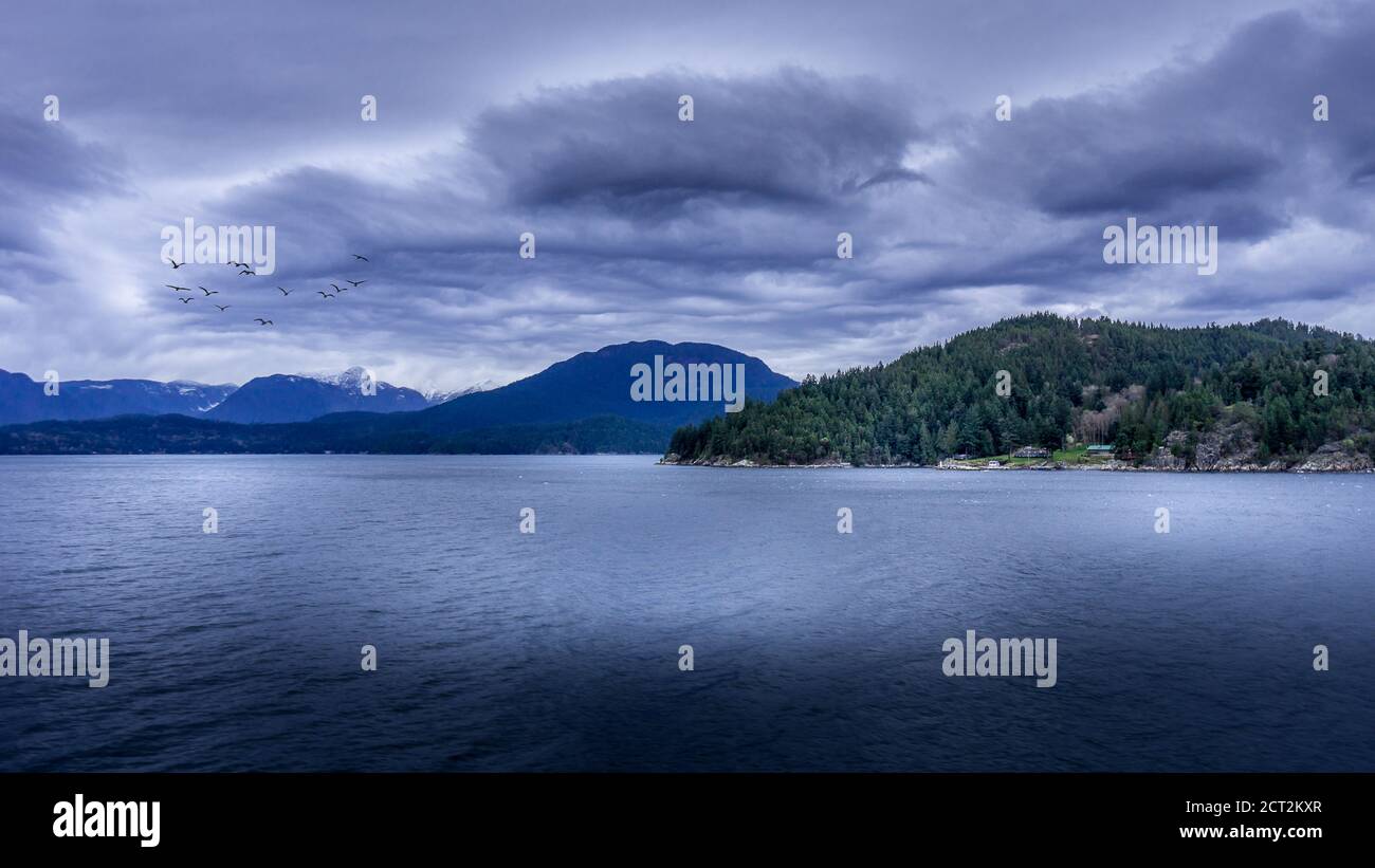 Dark Clouds e un gregge di uccelli durante un viaggio in traghetto tra Horseshoe Bay e Sechelt nella British Columbia, Canada Foto Stock