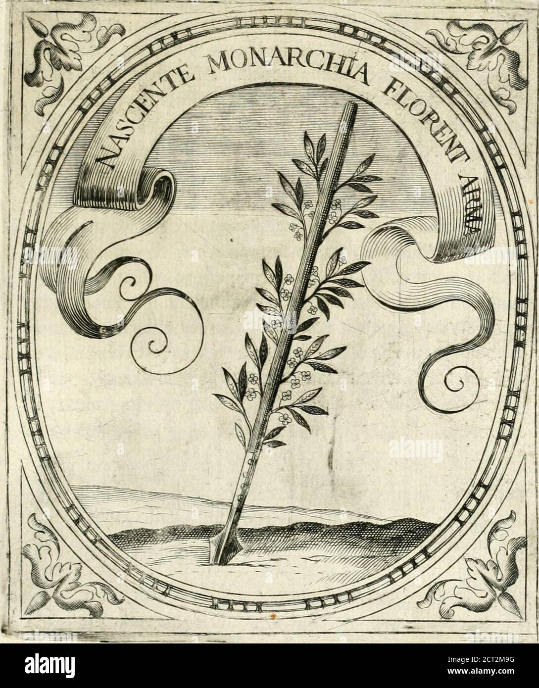 . Idea de vn principe politico christiano : representada en cien empresas . ennulacion^ ni compctcncia,-^ Mc- cciiegas. j^^j, incoiweniente es, que vn necocio fe trate por vn Jac.invit.^oric. -....,■> , j , ,- ,, ^ Muiiltro malo, que por dos buenos, li entre ellos no aimucha vnion,í conformidad, lo qual (ucede raras vezes2P V -C -V- ^y ^Ja^ 1^ * S-f ?y V.C II No fiem- políticas éO^. NOíiemprees feliz la prudencia, niíiemprcin-faufta la temeridad, i fi bien quien labe apriía, nofabe • feguramente, conviene tal vei á los mzcnlos t, ou^^j7.ffif/a^itce.fogofos refloverfe con adel primer iiDpuI Foto Stock