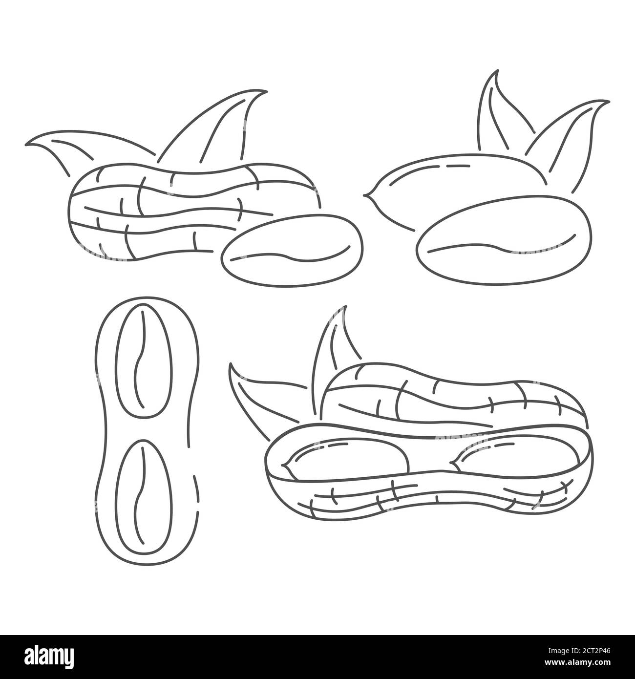 In shell arachidi icone linea art vettoriale.concept segni per sito di cibo vegano. Illustrazione Vettoriale