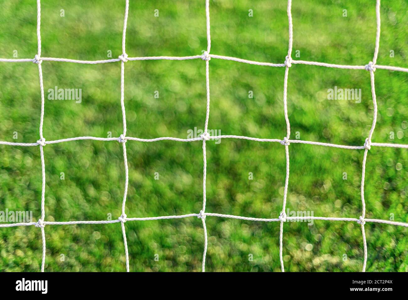 Bianco calcio obiettivo rete su fondo erba. Foto Stock