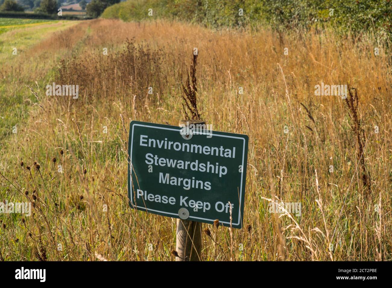 Margini di tutela ambientale, si prega di tenere fuori dal segno. Norfolk, Inghilterra, Regno Unito. Foto Stock