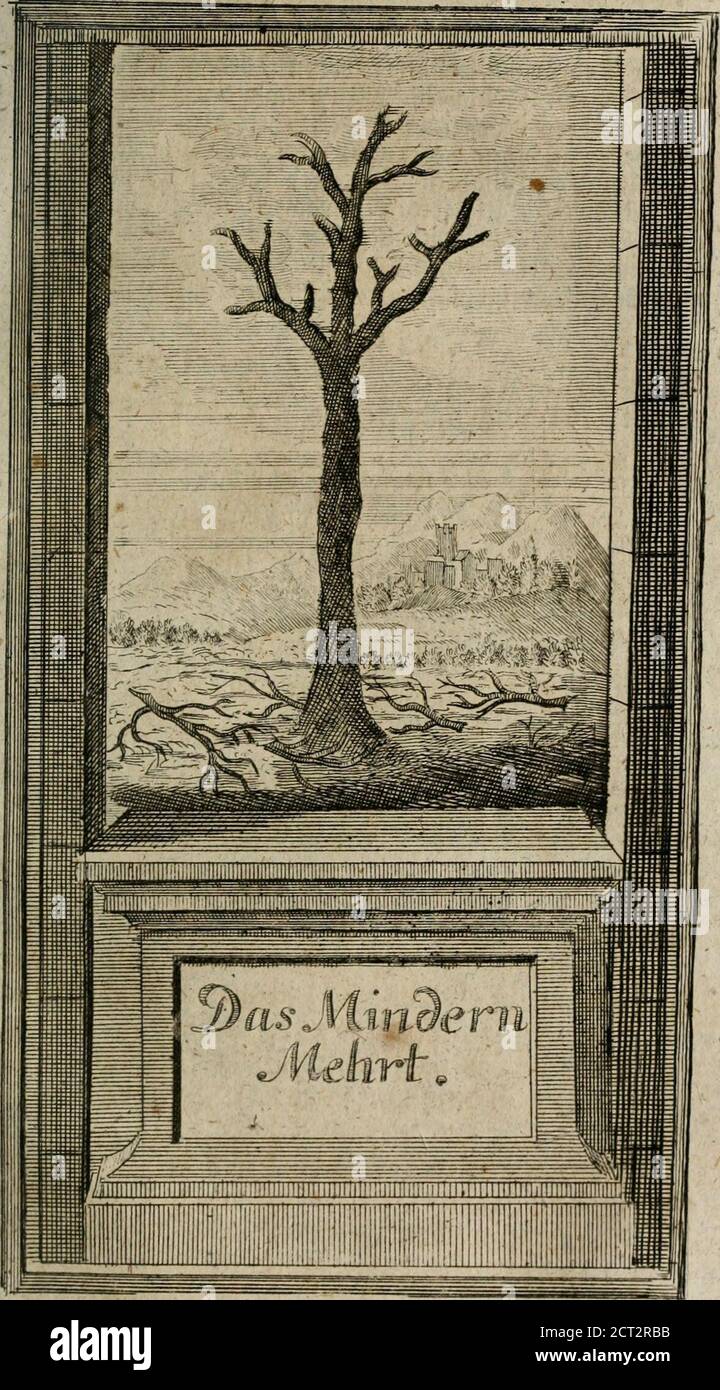 . Des Hochreleuchteten Sel. Johann Arndts, General-Superintendentens des Fürstenthums Lüneburg, Fünff geistreiche Bücher, vom wahren Christenthum ... : Welchen noch beygefüget drey andere kleine Bücher welchen zu des sel. Joahnn Arndts wahren Christenthum gehörig .. . cn bimreg finb, fi> foiget t)ic Q3ereinrV ©una; benn ein« icid)c6 meiniaet ficb mit feine   glei* 5t>cn, unb nicit mit einem Unflleicjen, iente aber, bag. «Das dructe 2 uf), €ap* IX maiale. 77g ^tcr ifl ein55aum, rocld)em fotuol bürrc afö anbere 9!ef!e a&*genauen worbcn, (alä vodd)e hierunter um ben Saum herumliegen,) ba   er Foto Stock